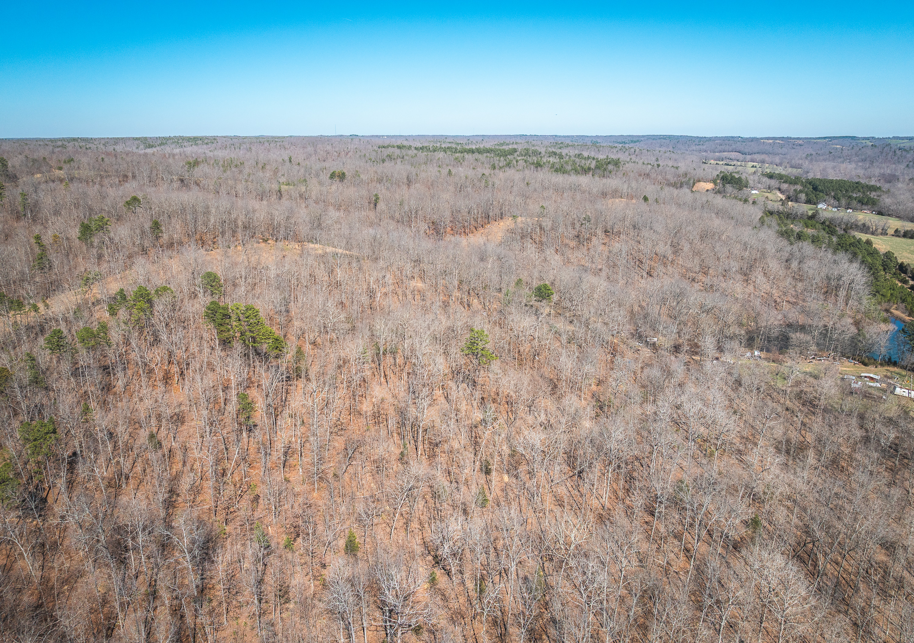 58 Acre Wildlife Retreat