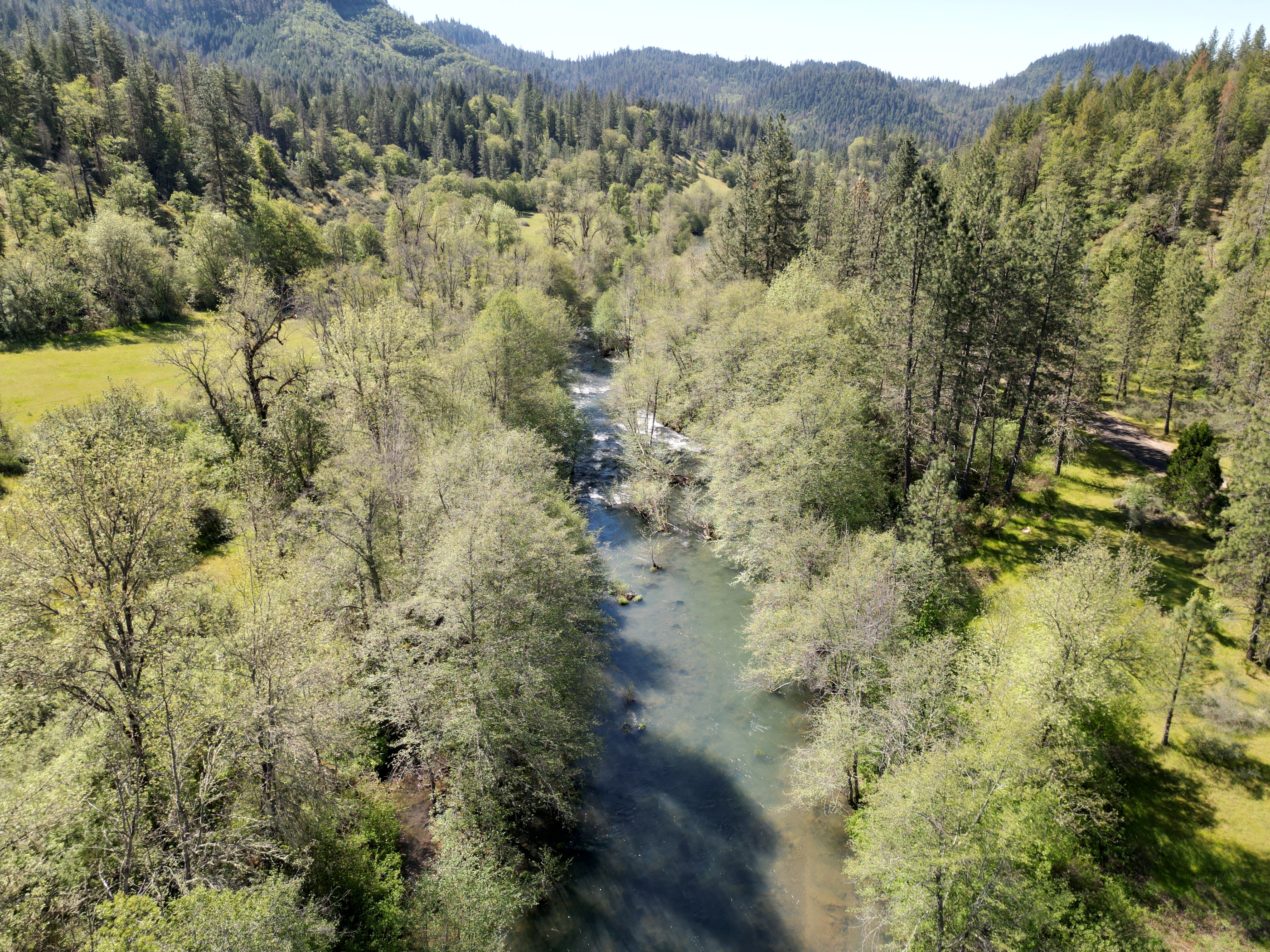 Elk Creek Road TL 2205