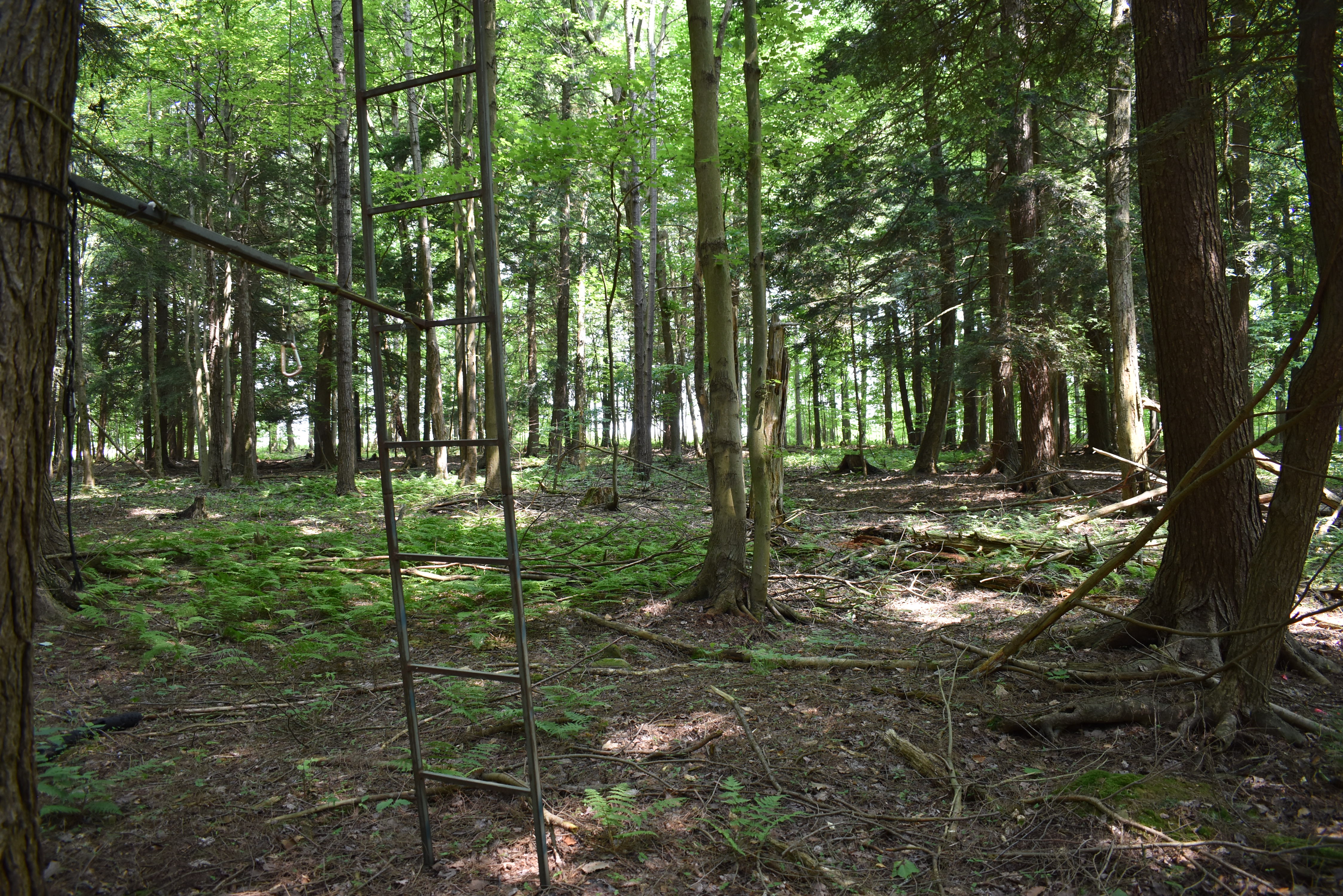 Listing Image 46