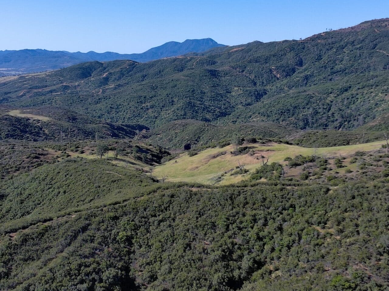 Listing Image 50