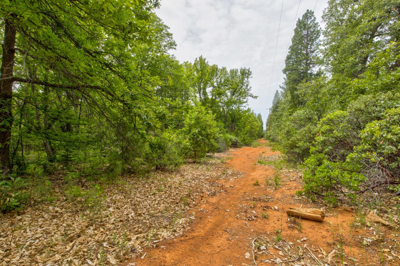 Foresthill Divide