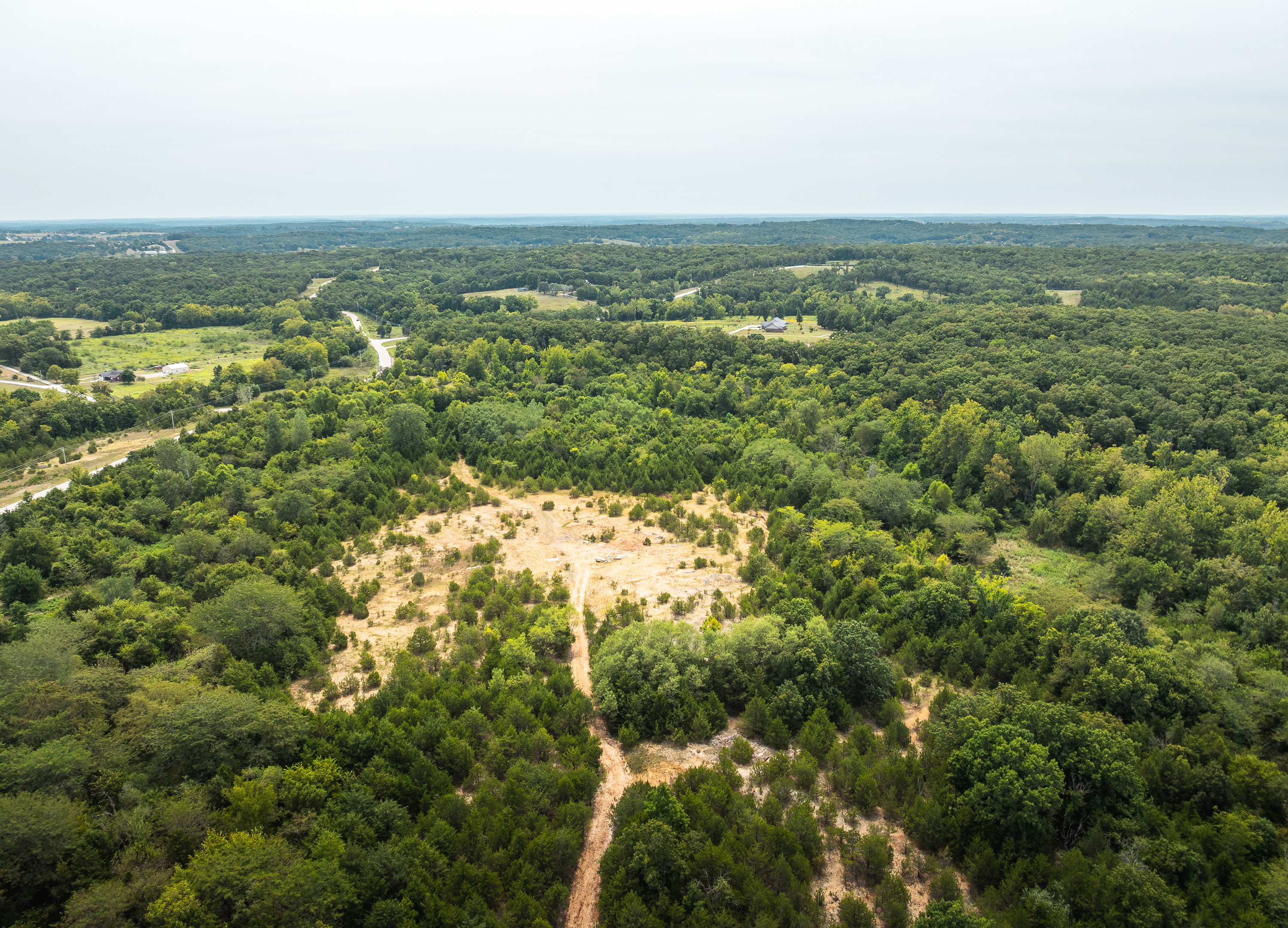 Hickory Hill Hollow