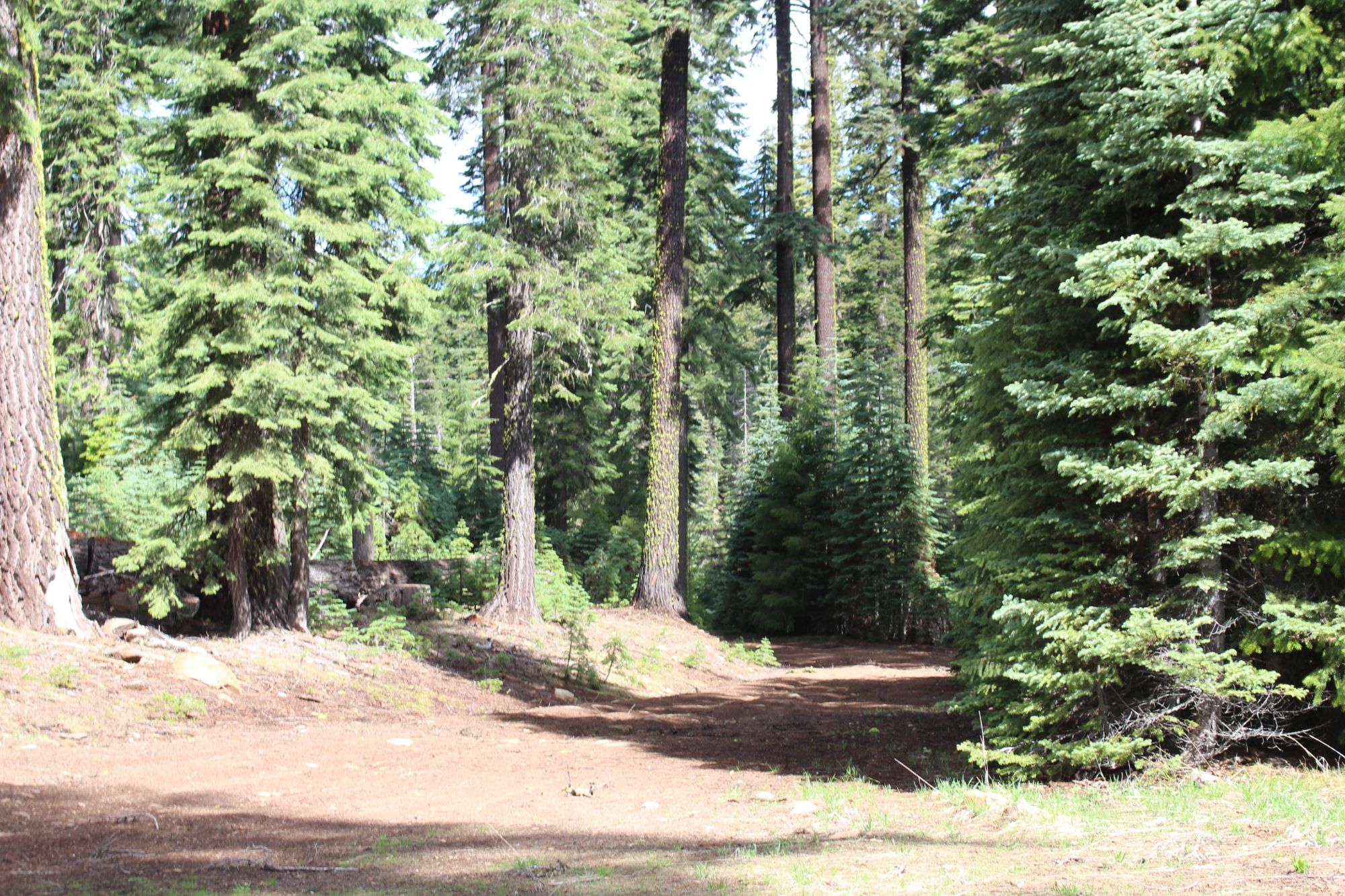 Keno Access Rd