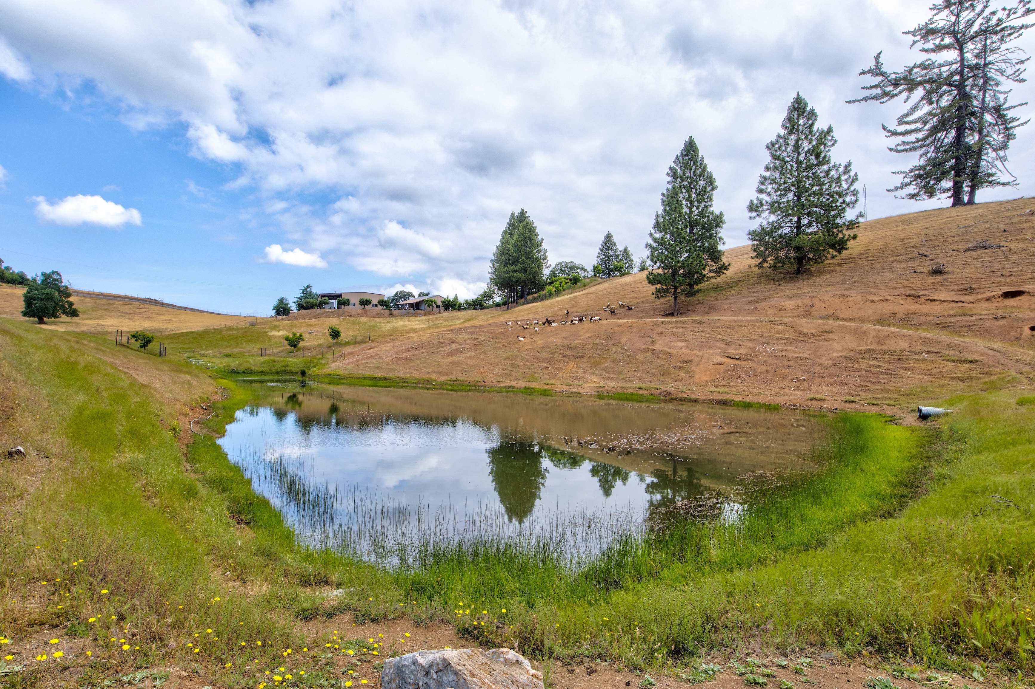 Spear B Ranch