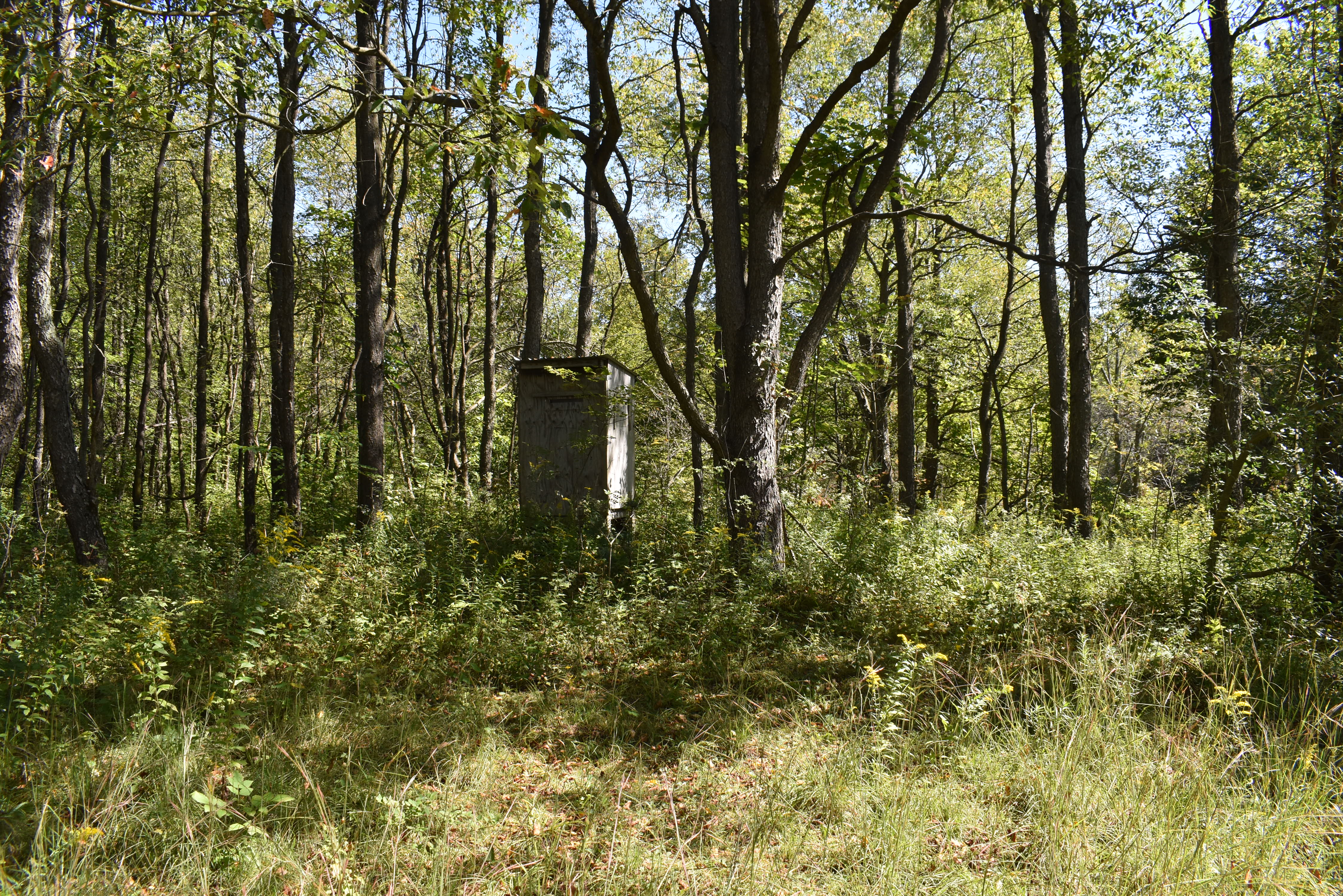 Listing Image 16