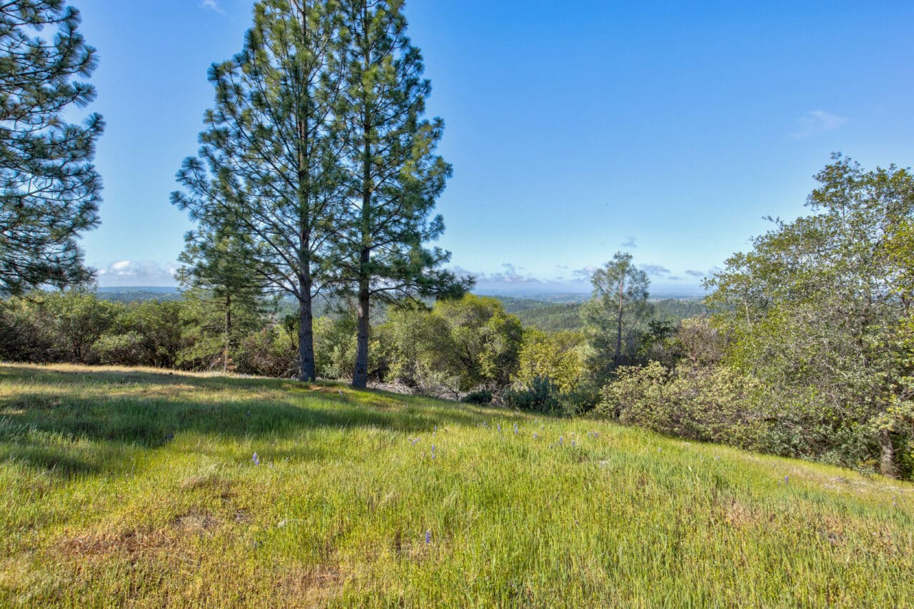 Trembath Mountain Vista