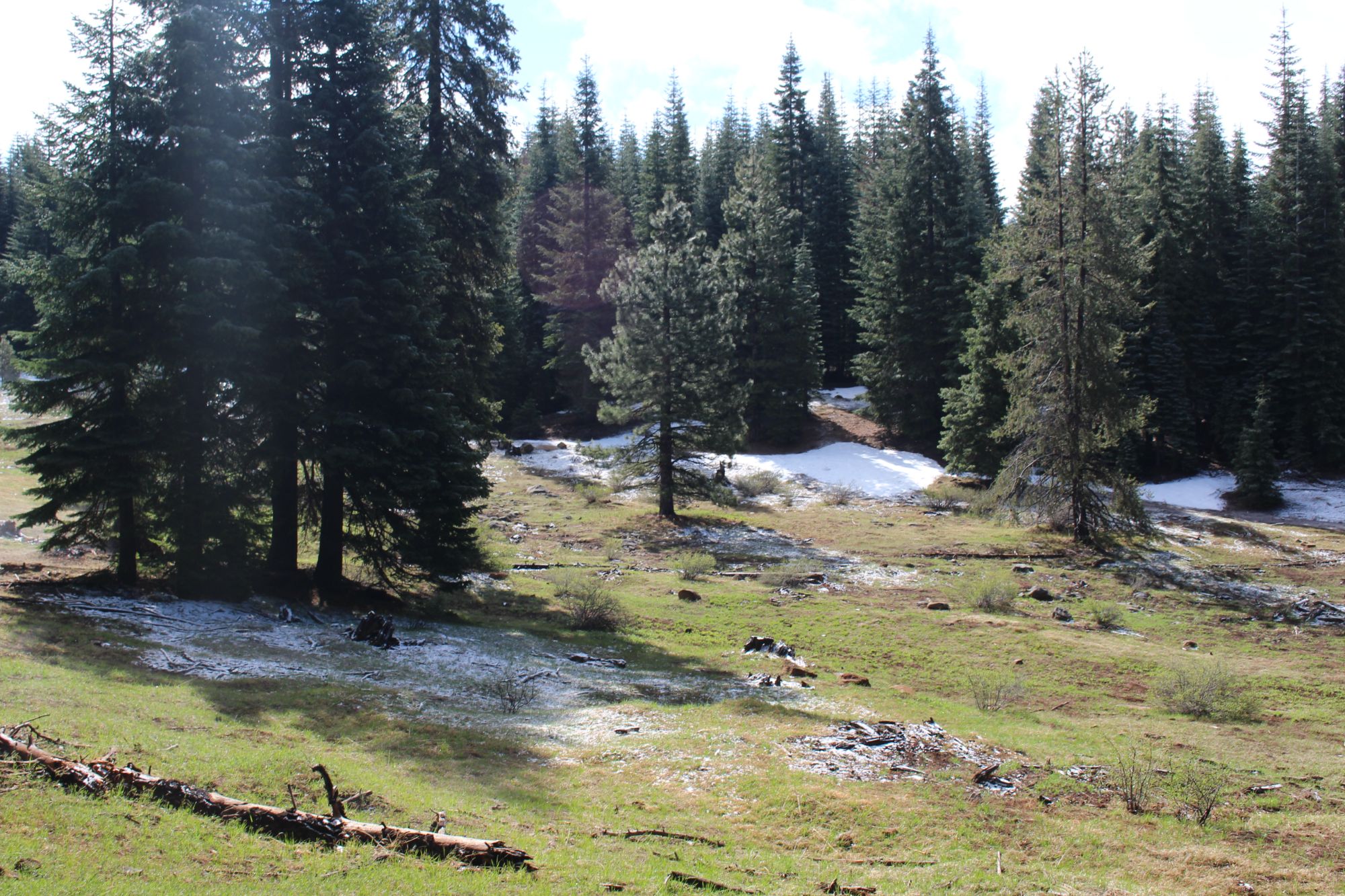 Keno Access Rd