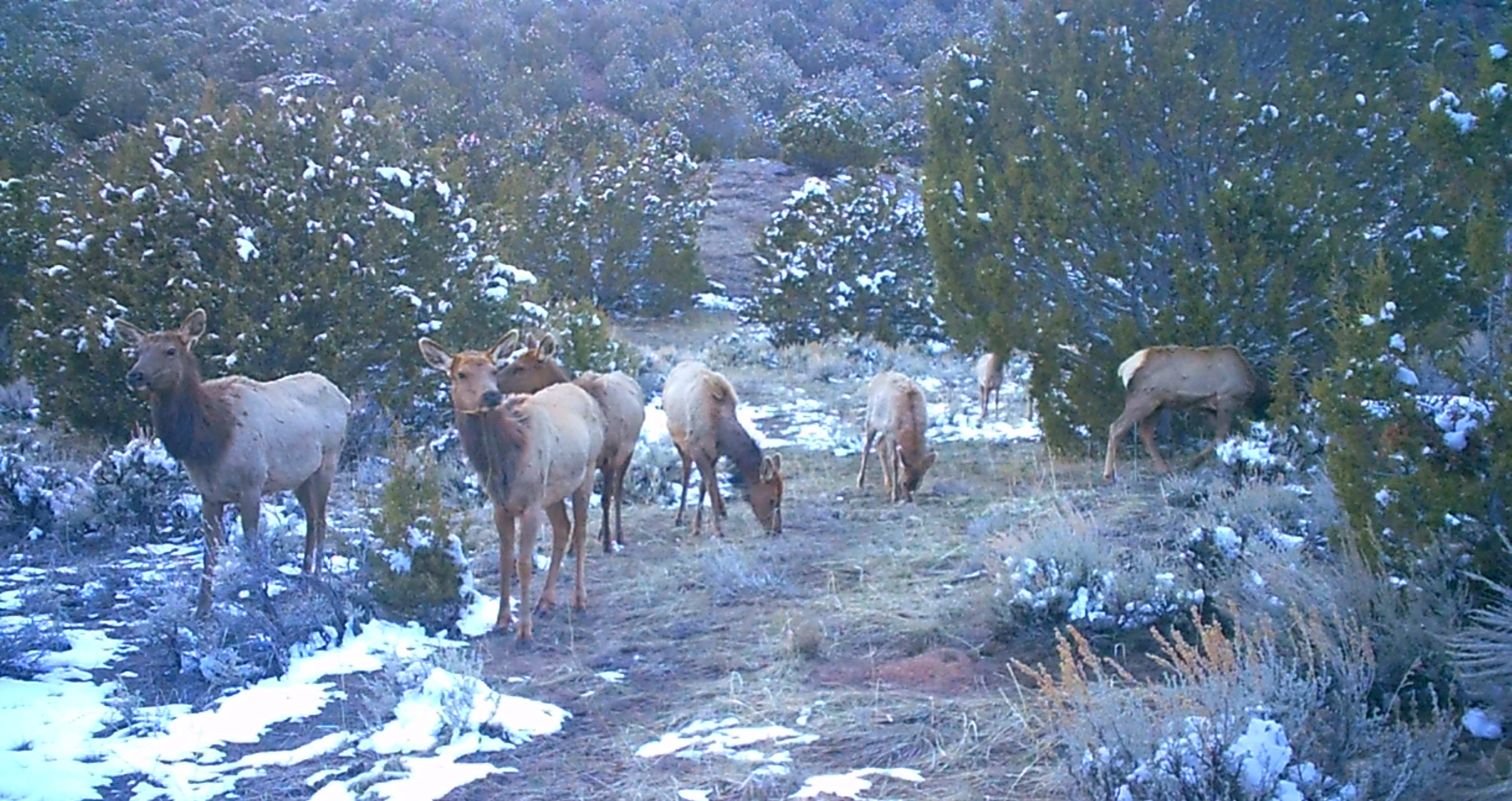 Maybell Grazing & Big Game Ranch