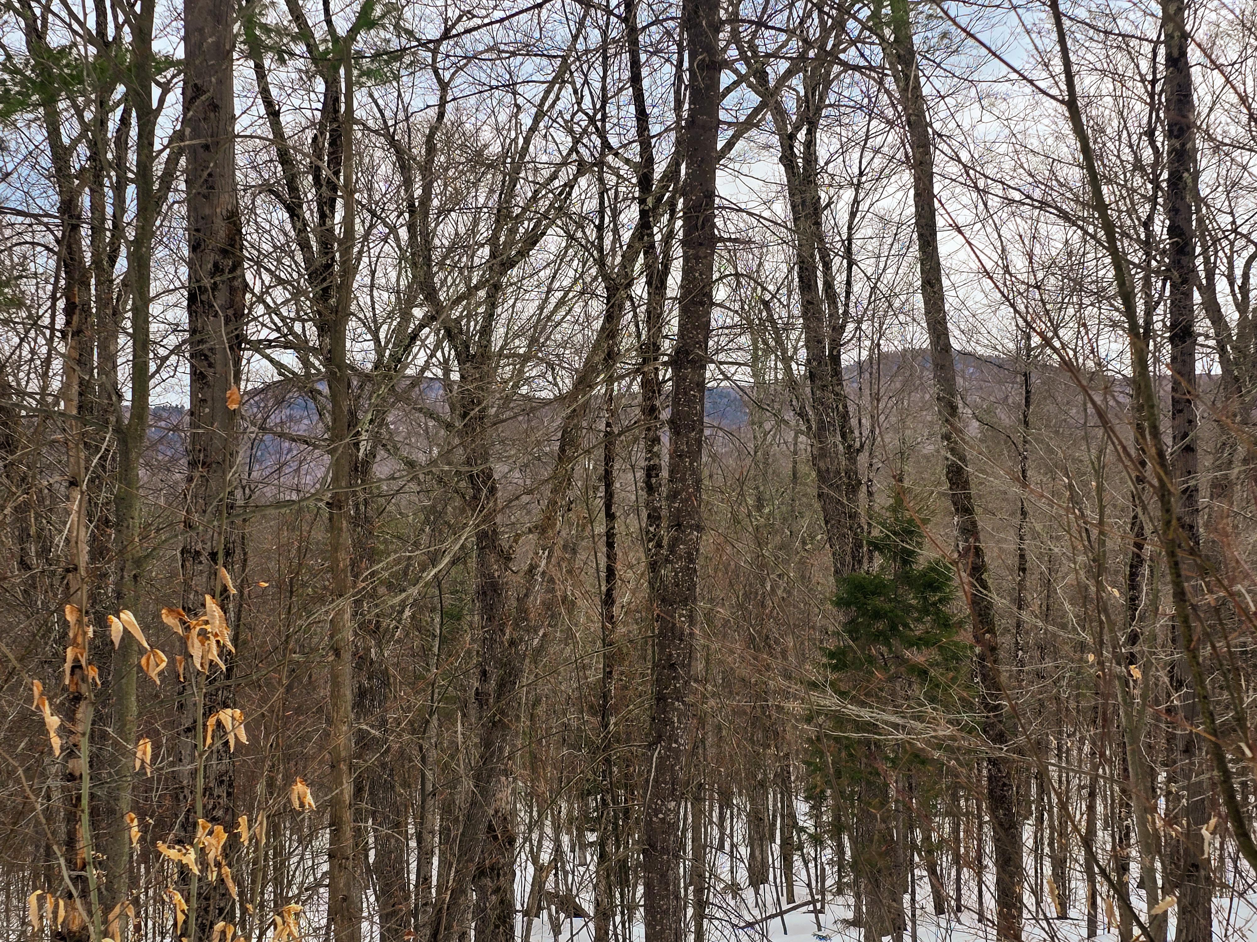 184 Schoolhouse Rd Jamaica