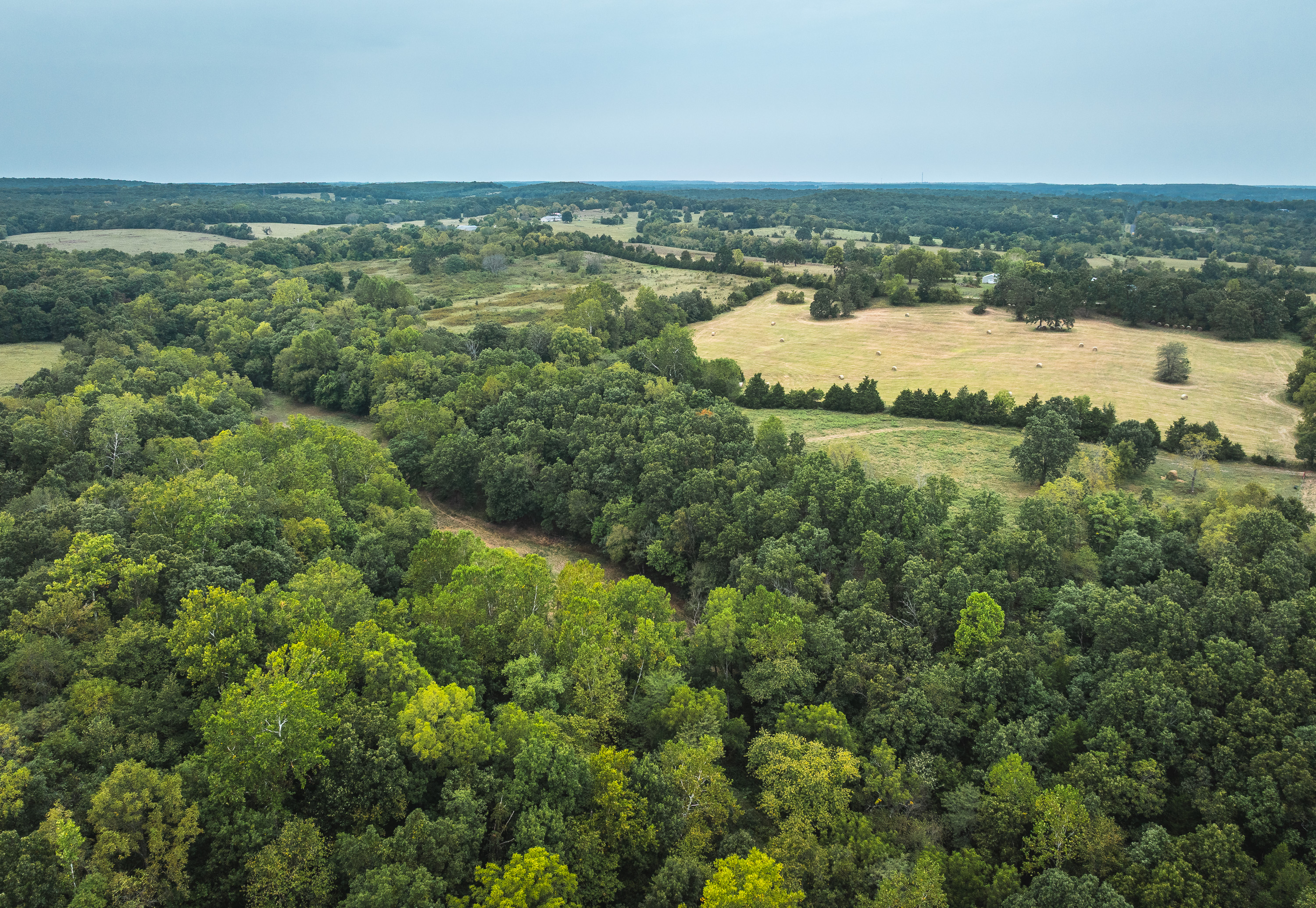 Twin Creek Farm