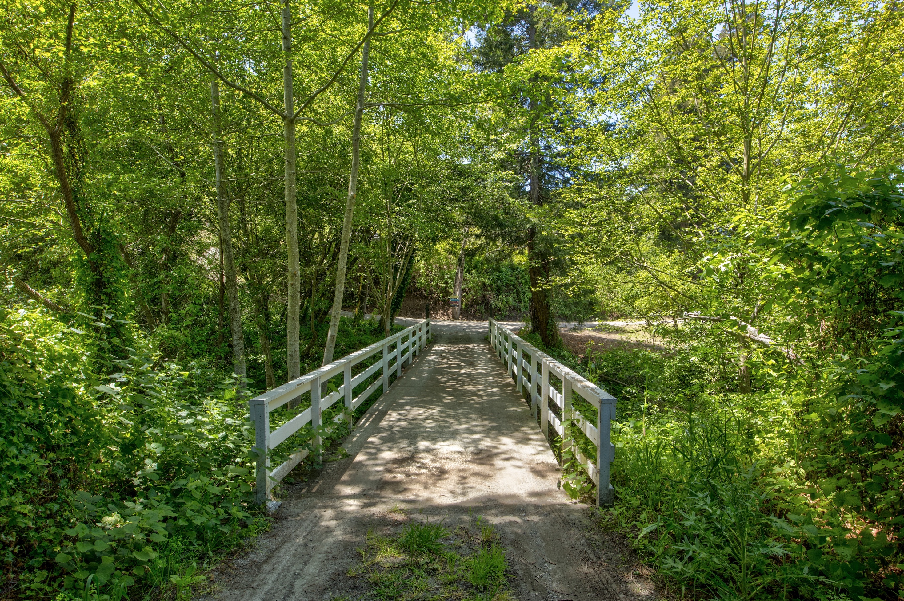 San Gregorio Creekside Farm