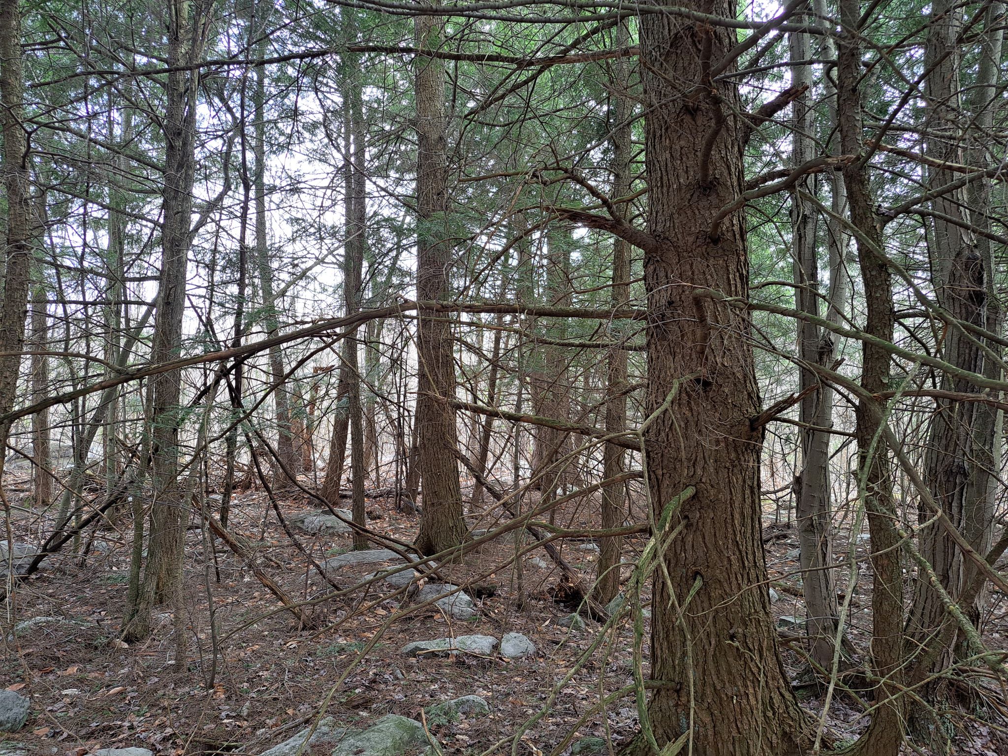 Listing Image 38