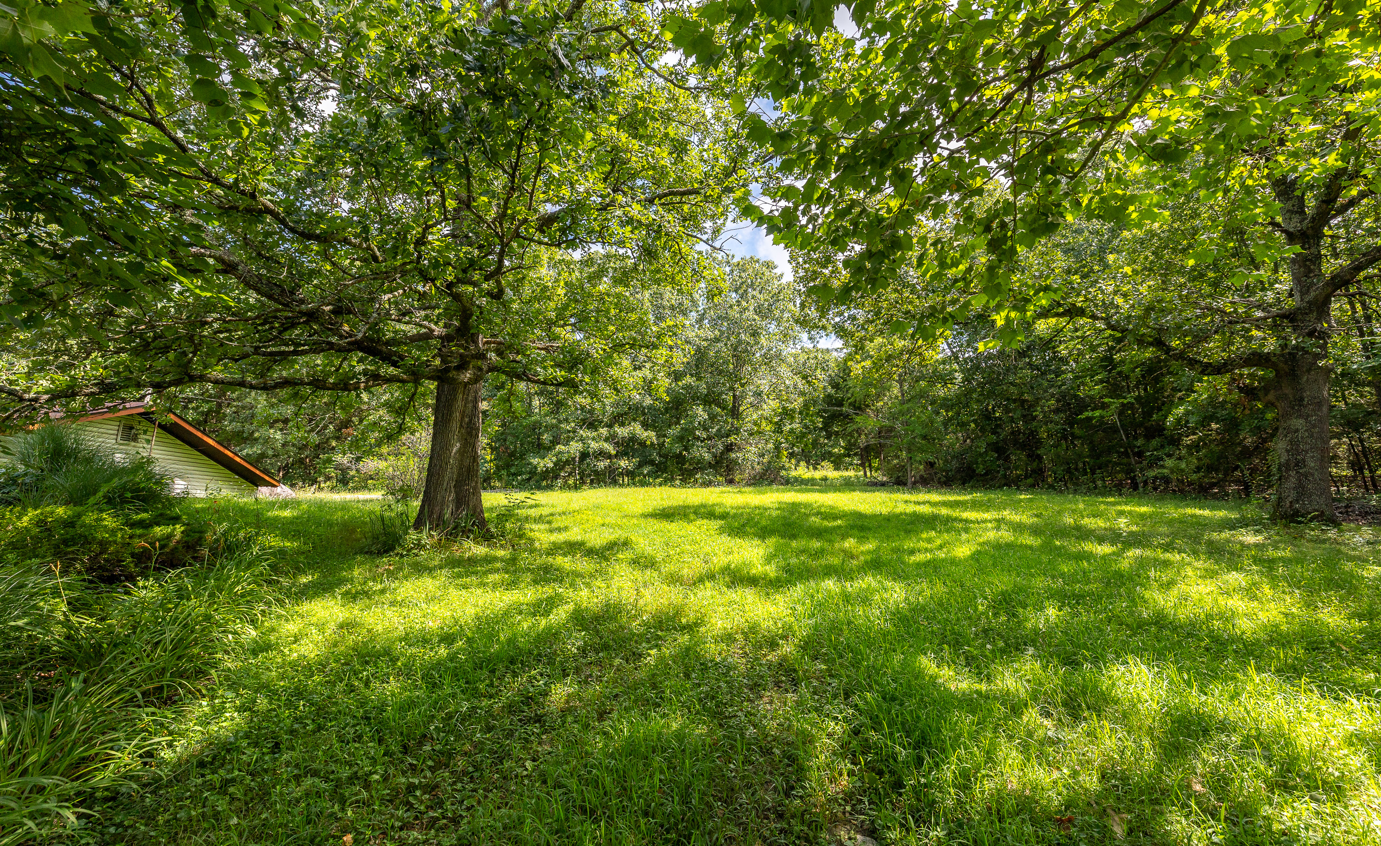 Verdant Bloom Retreat