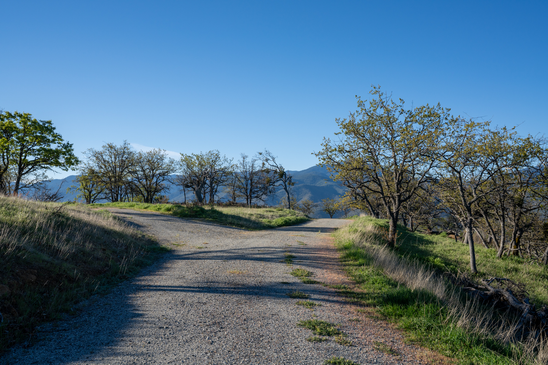 500 Canyon Hills Dr.