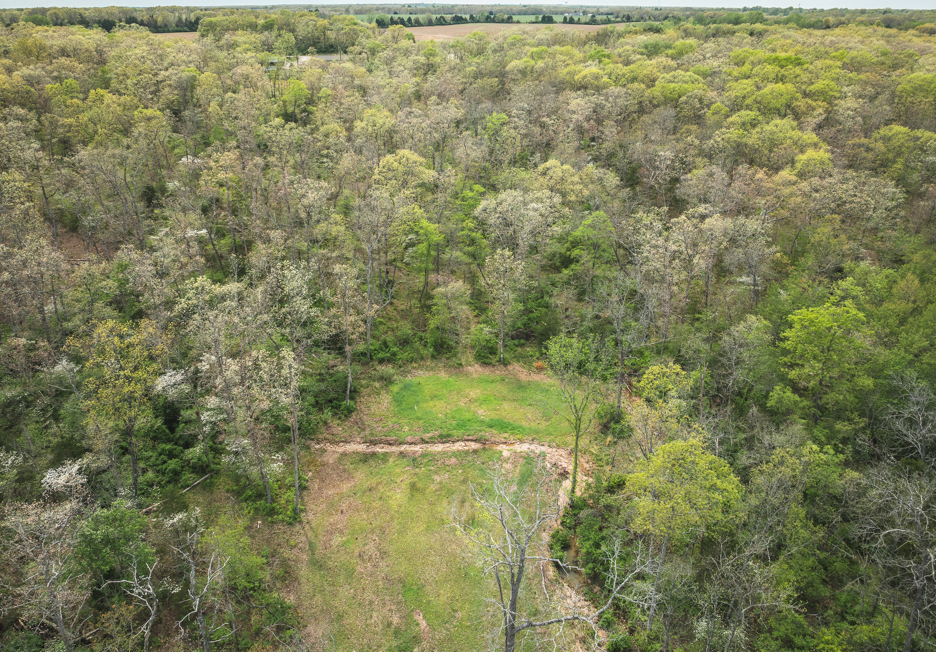 Buck Nest 37