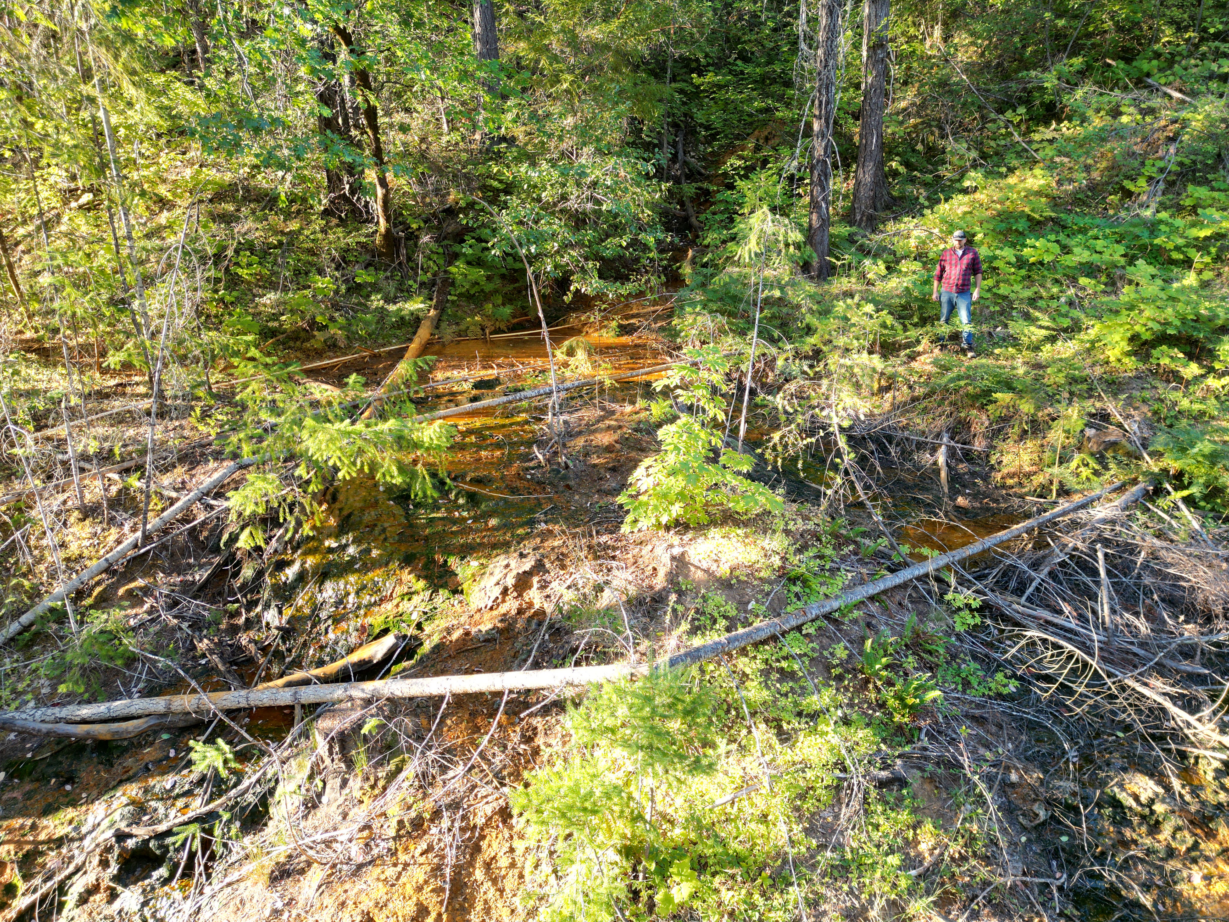 471 AC-E Evans Creek Rd