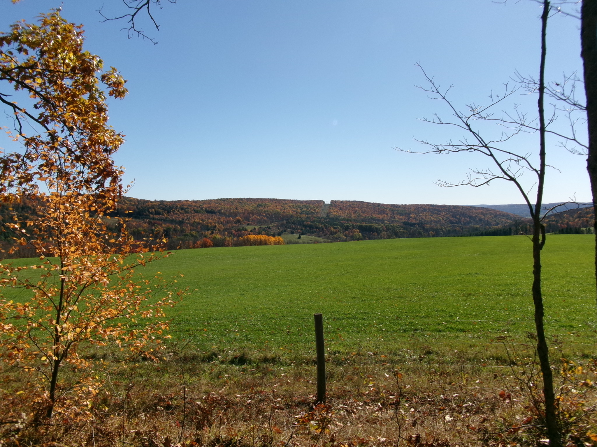 Listing Image 21