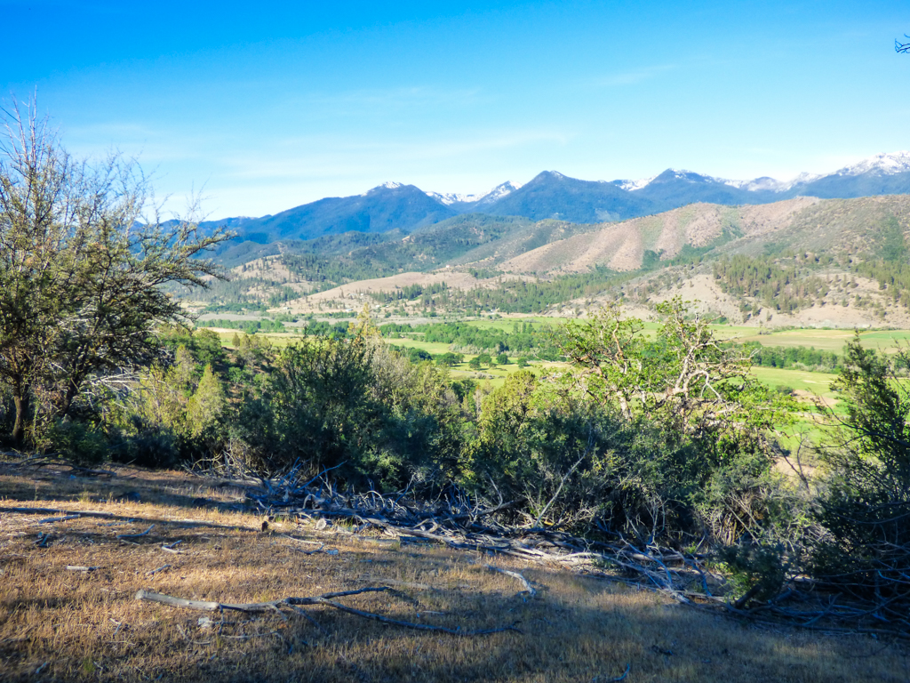 Blacktail Hills Retreat