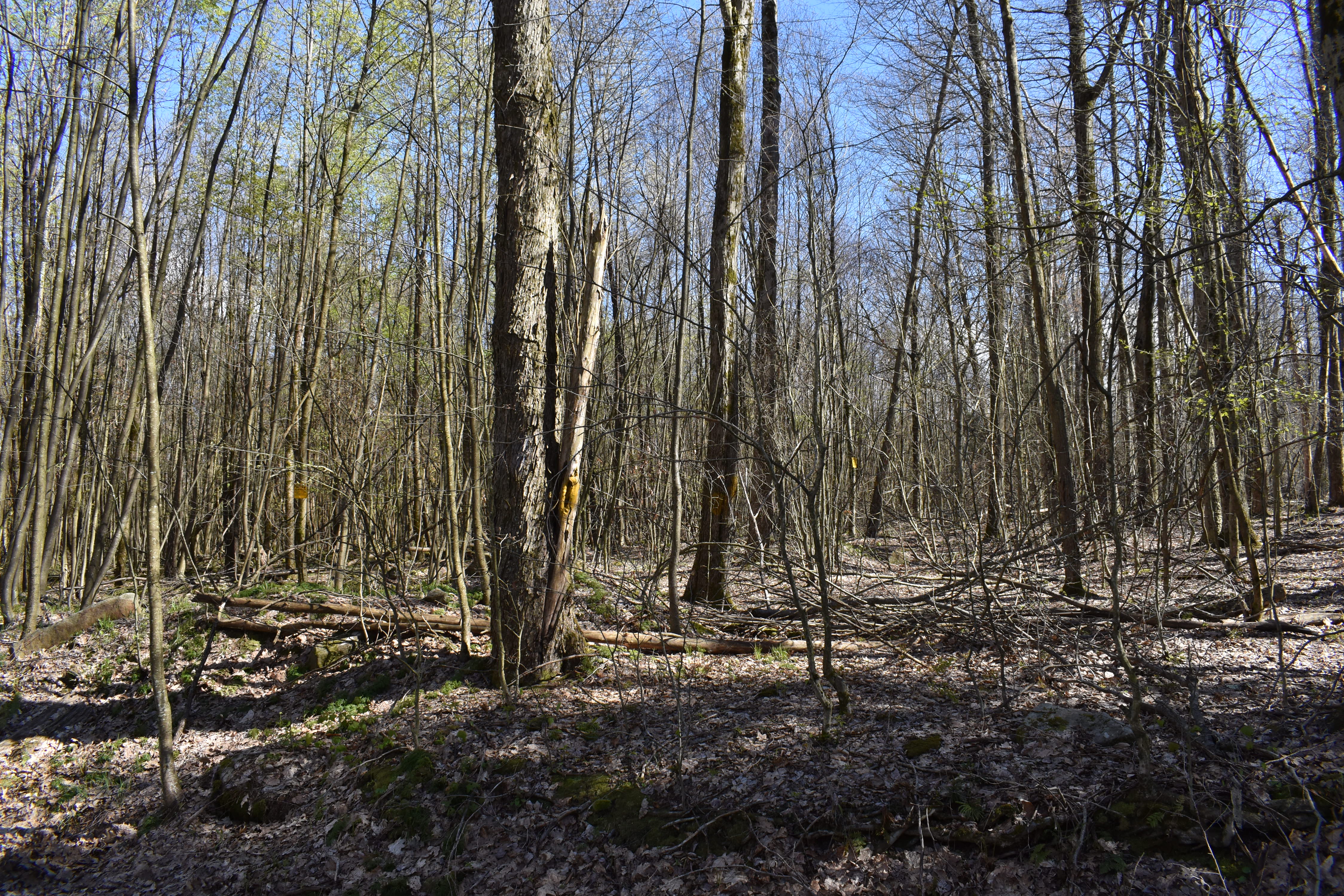 Listing Image 17
