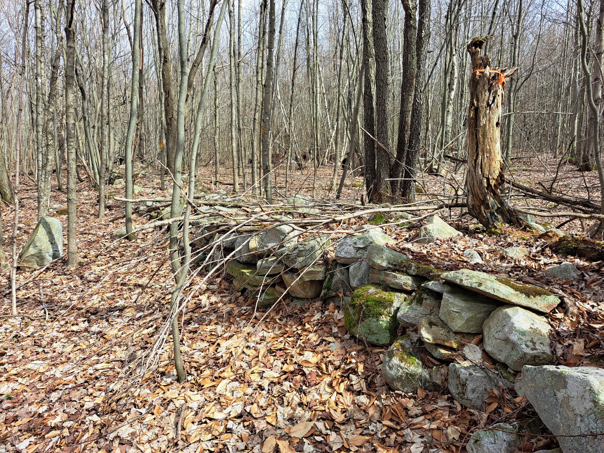 Listing Image 26