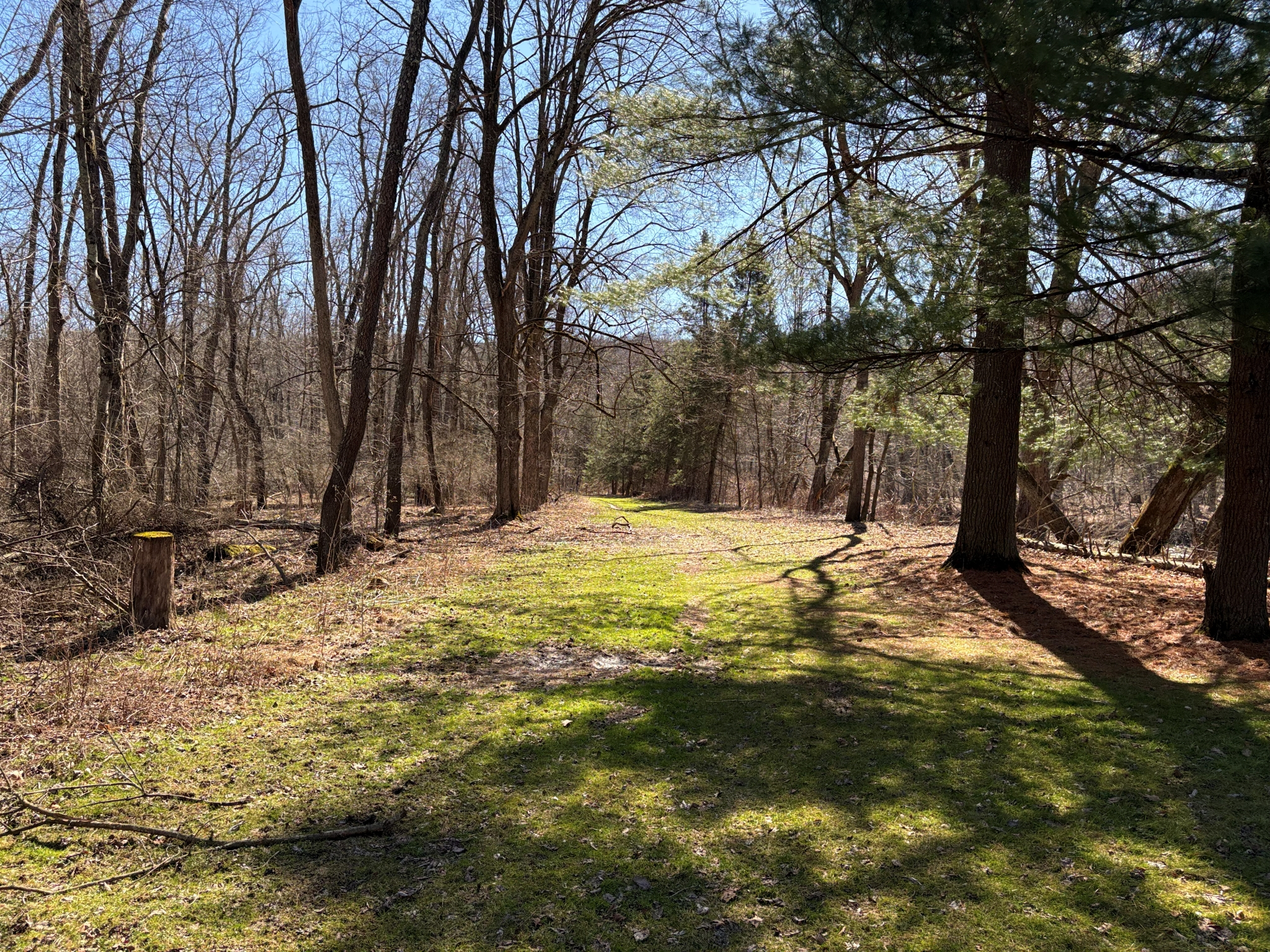 Listing Image 58