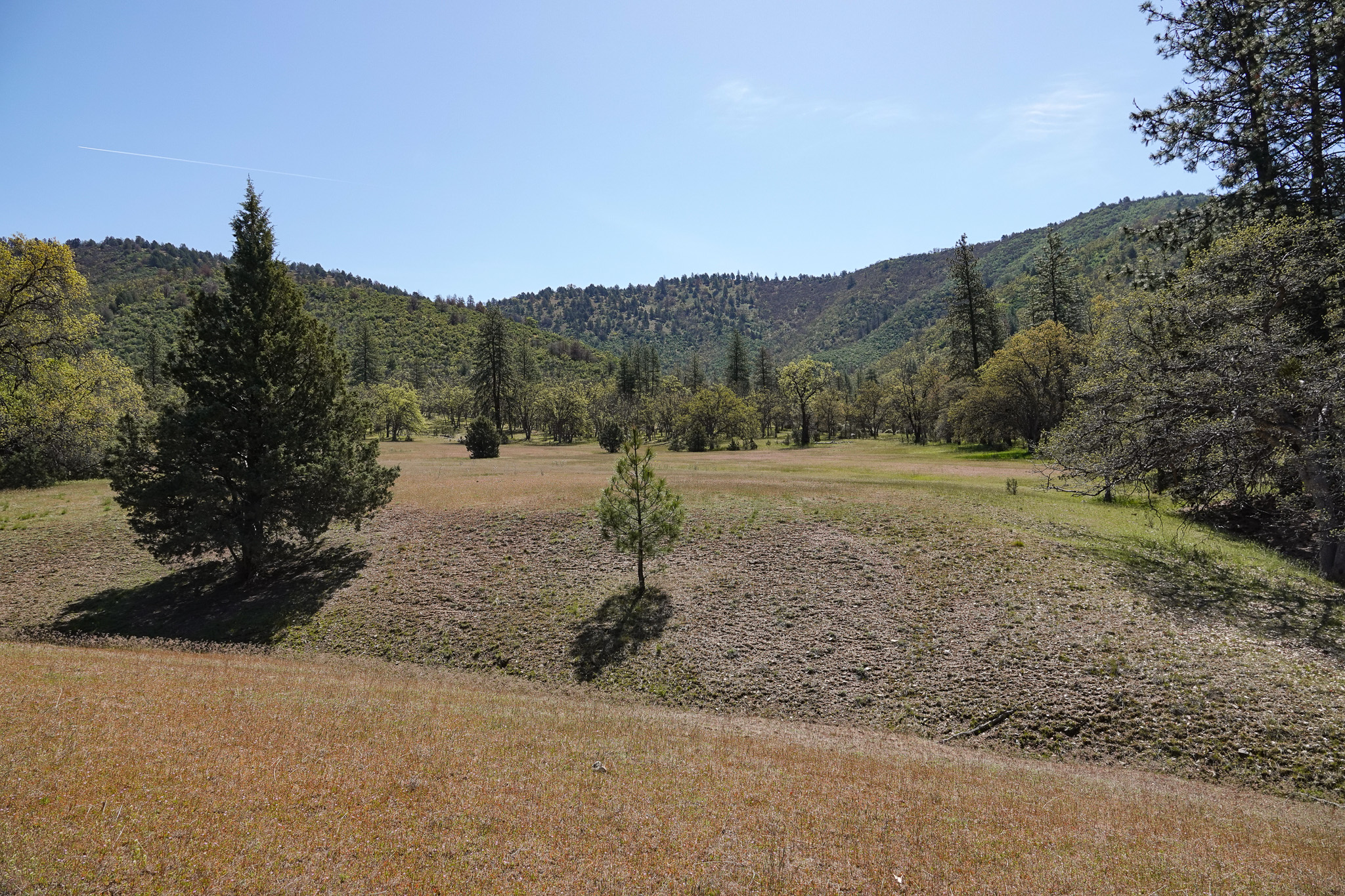 Scarface Acreage