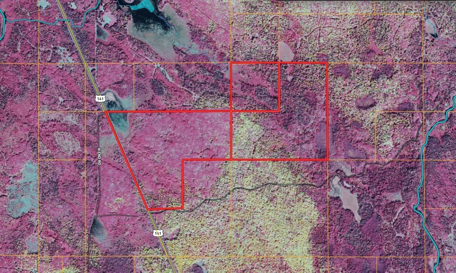 288 +/- Wooded Acreage 50175744