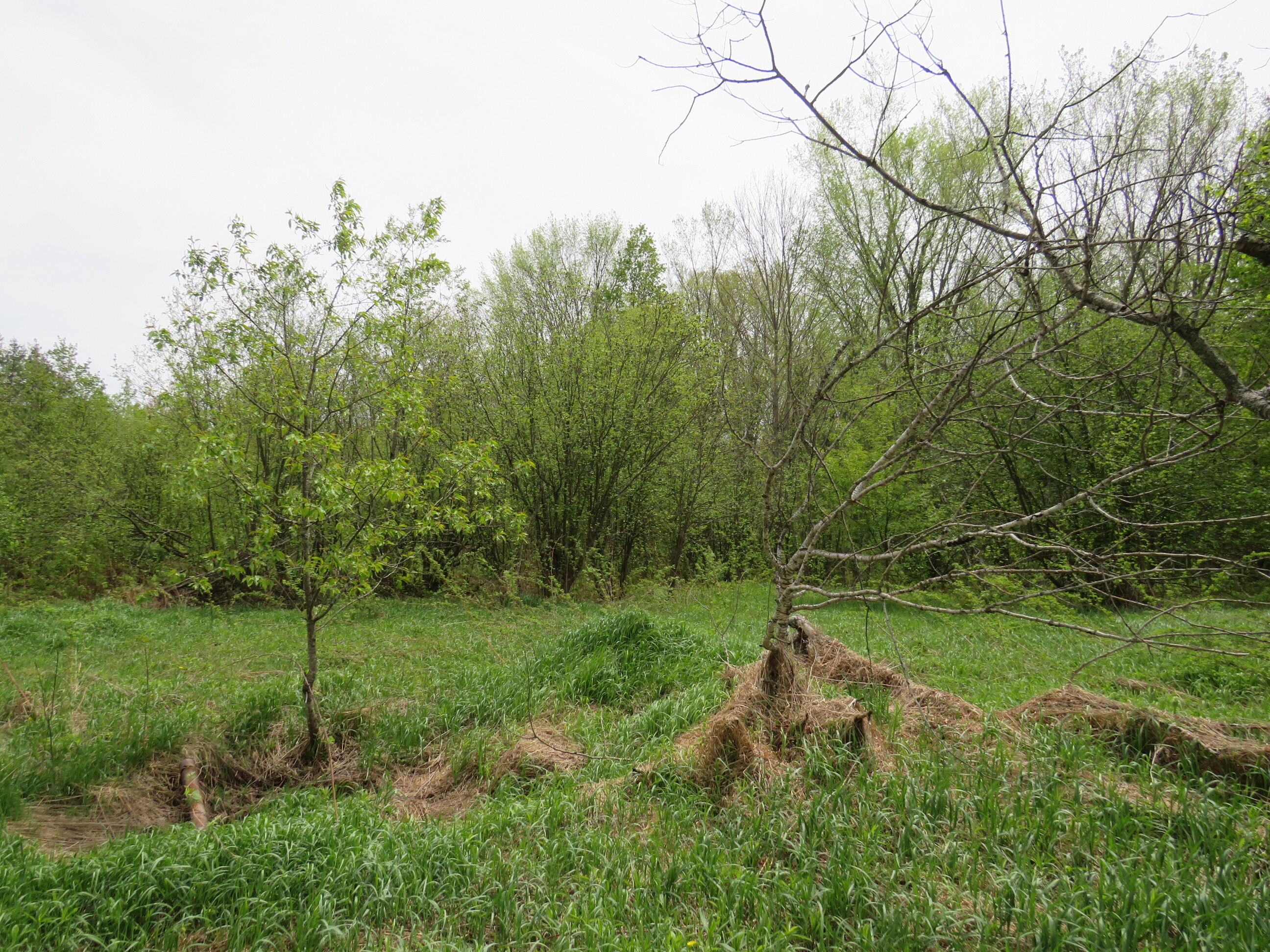 Michigan Recreational Property 50165363