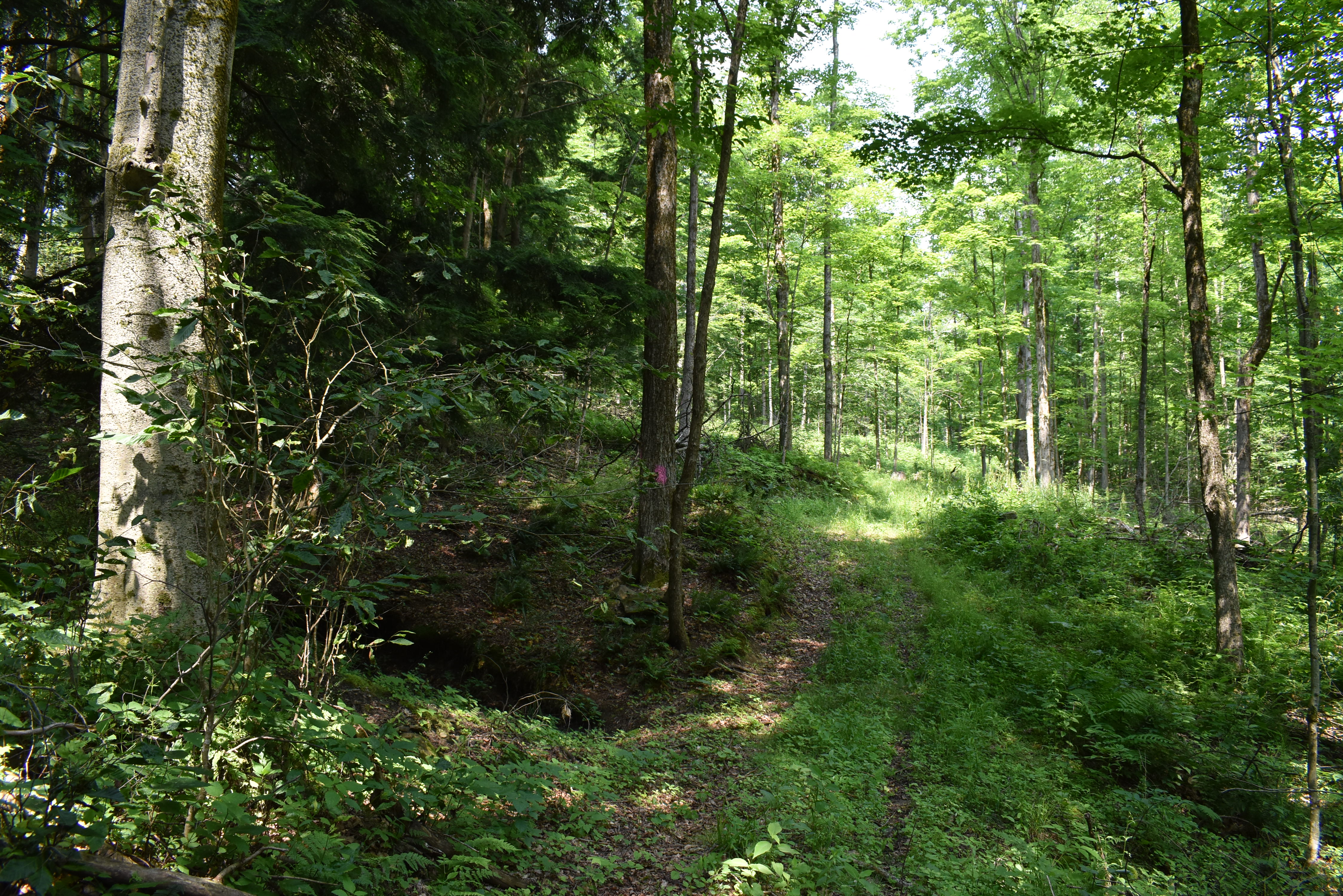Listing Image 55