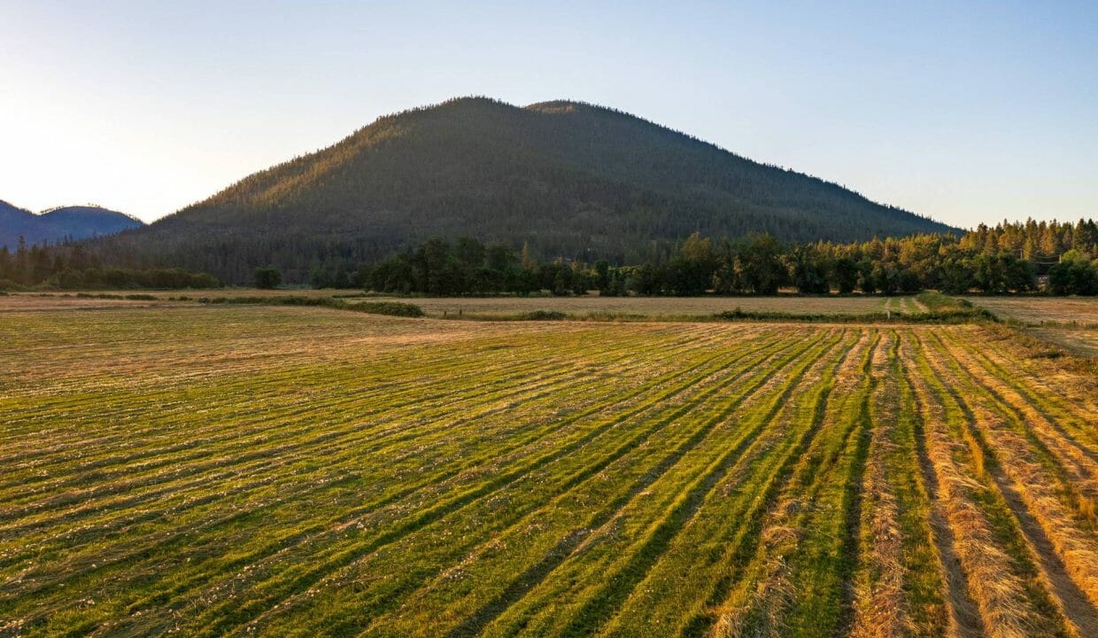 Sauer's Flat Farm & Ranch