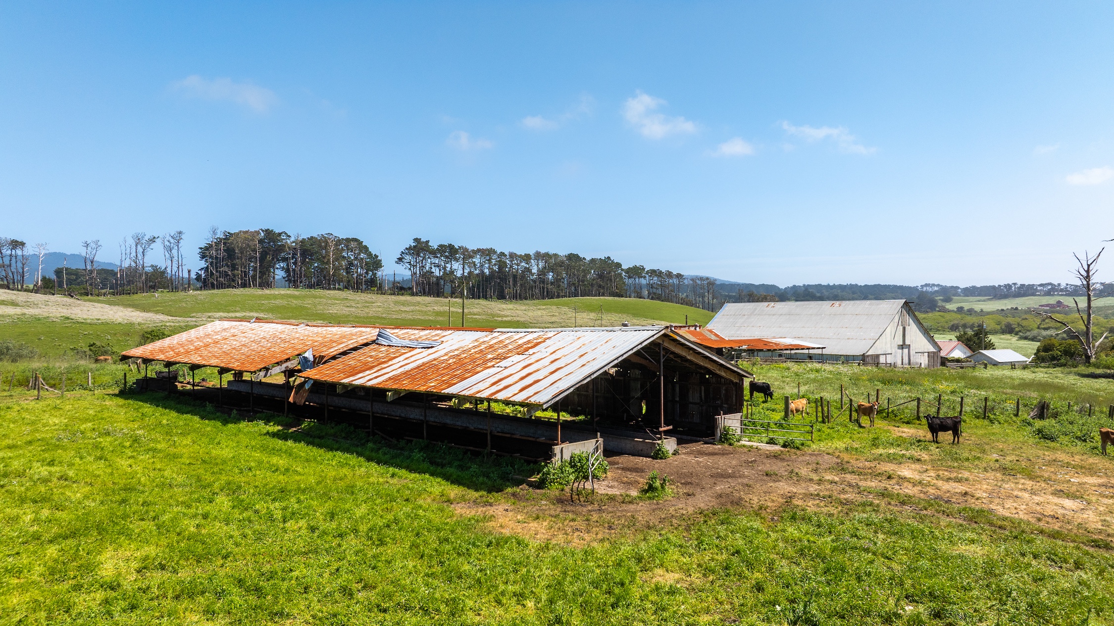 Listing Image 49