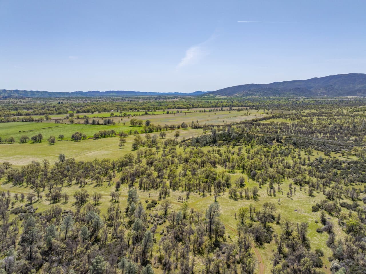 Listing Image 86