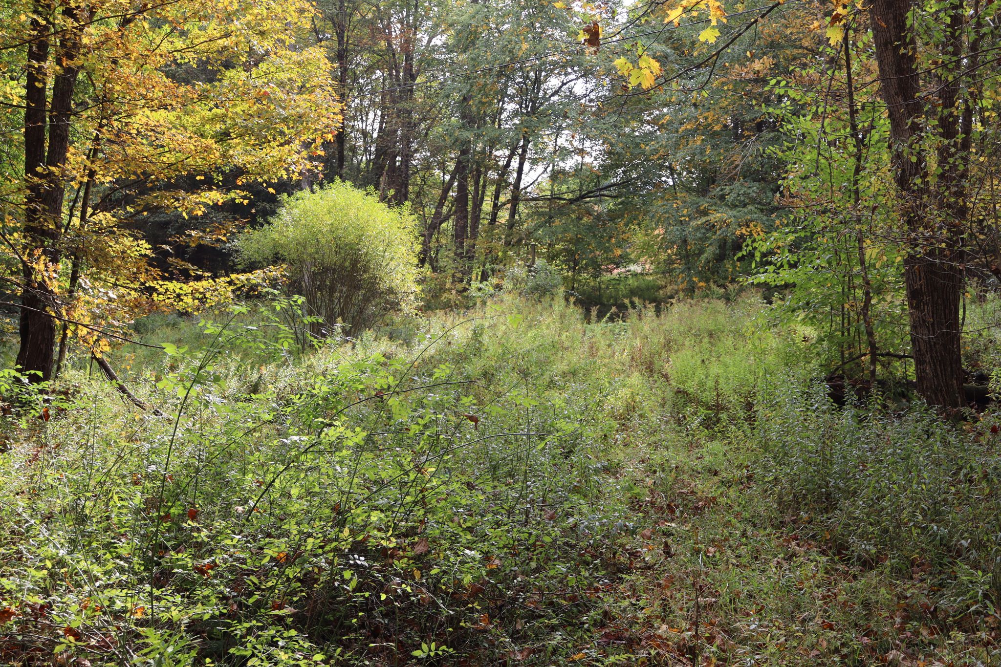Listing Image 28