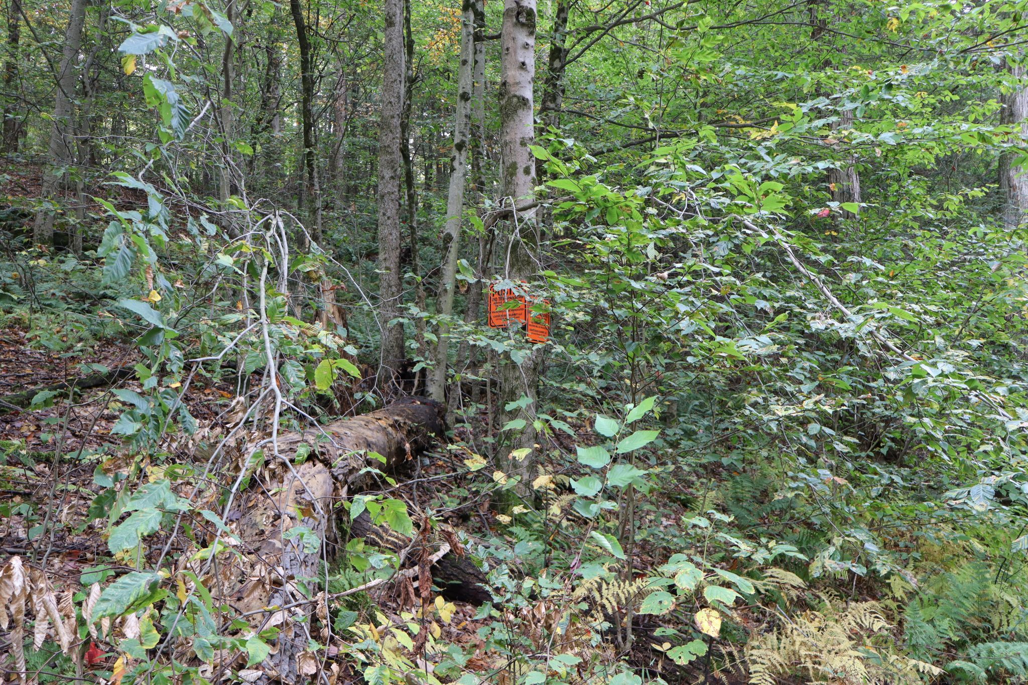 Listing Image 17