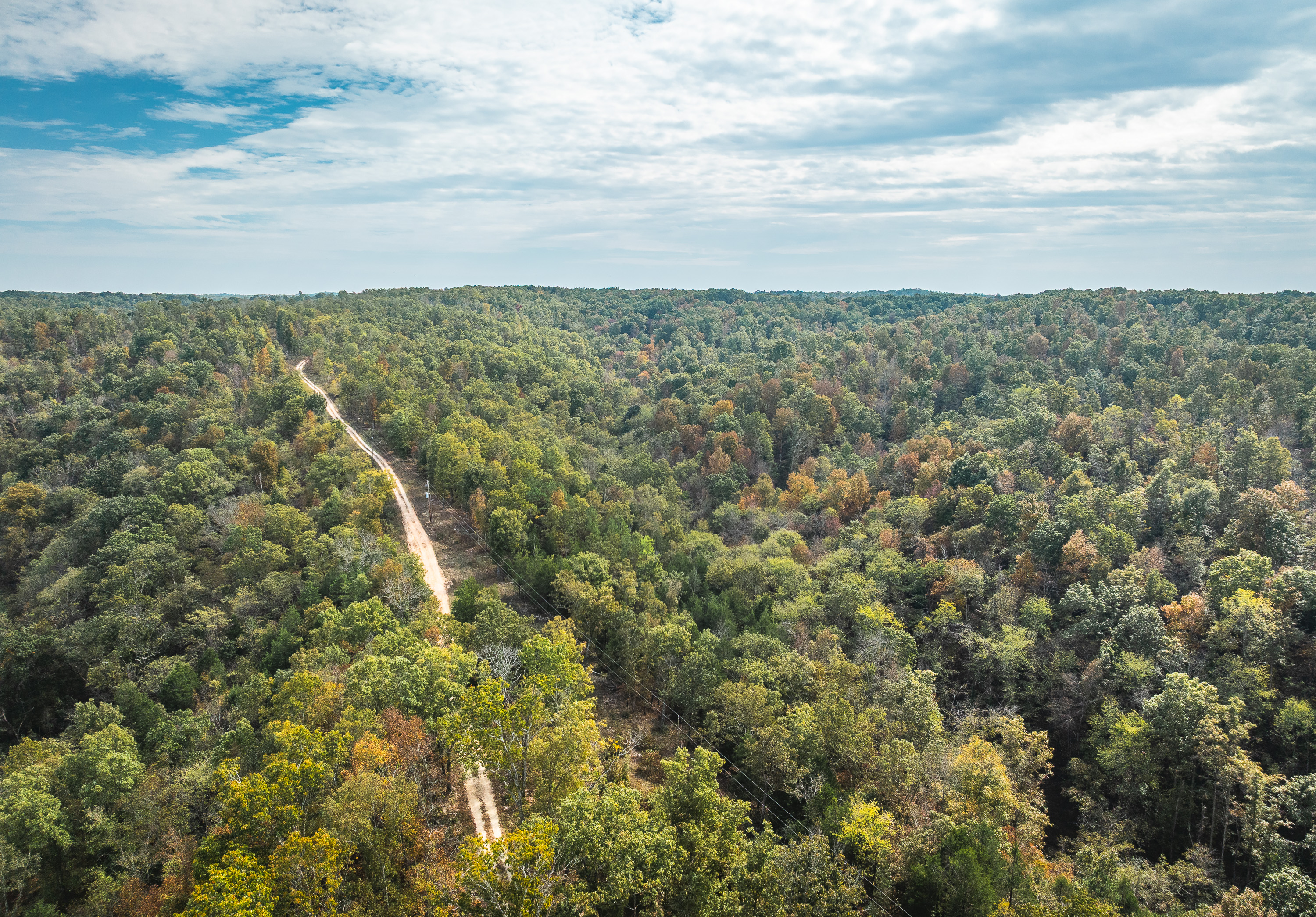 Little Gladden Creek Hunter