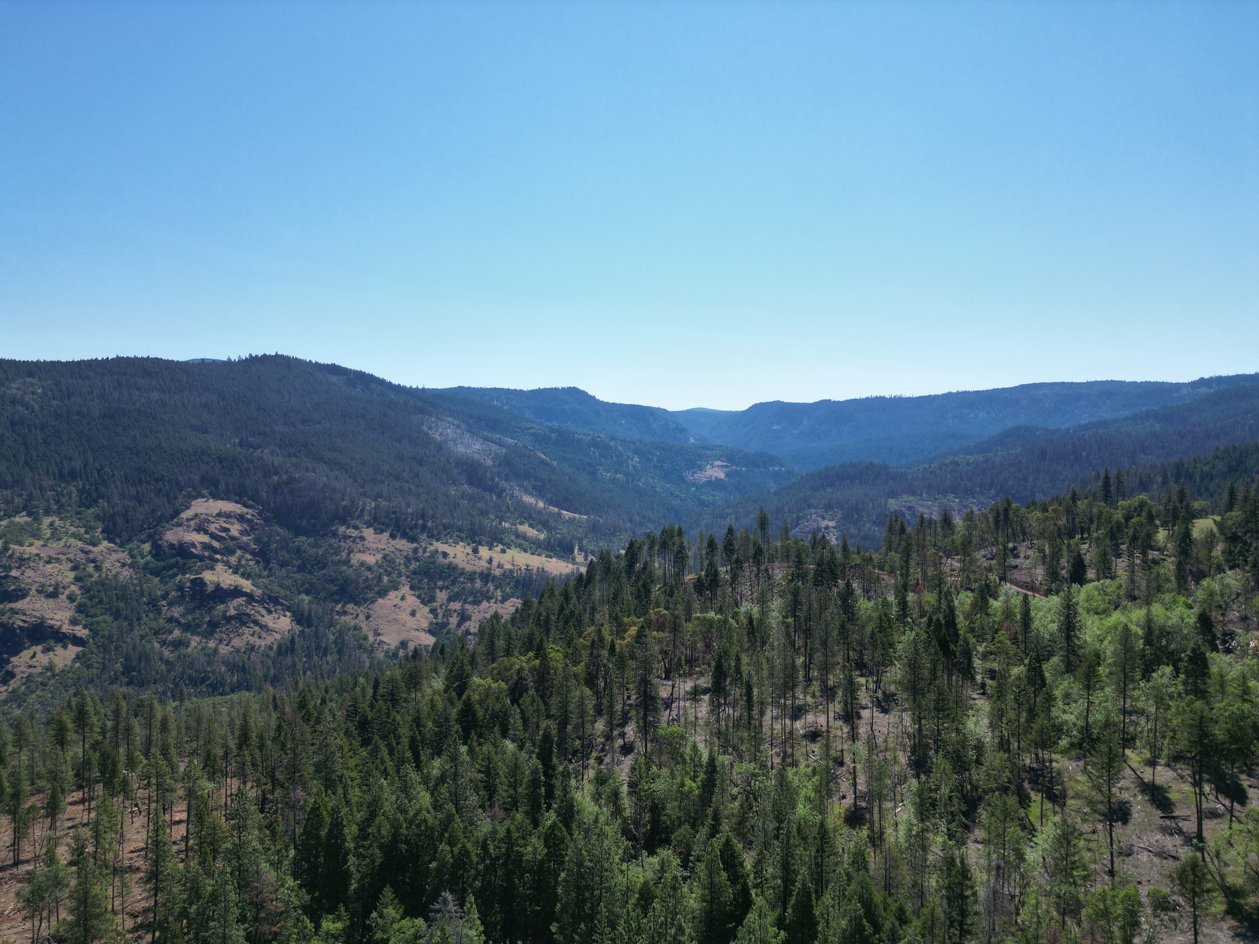North Fork Timber