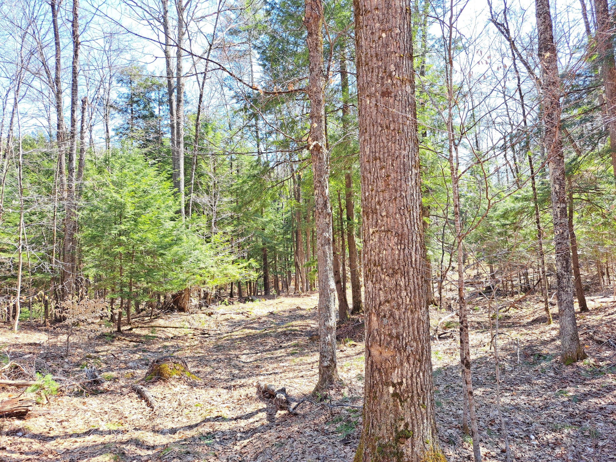 Listing Image 51
