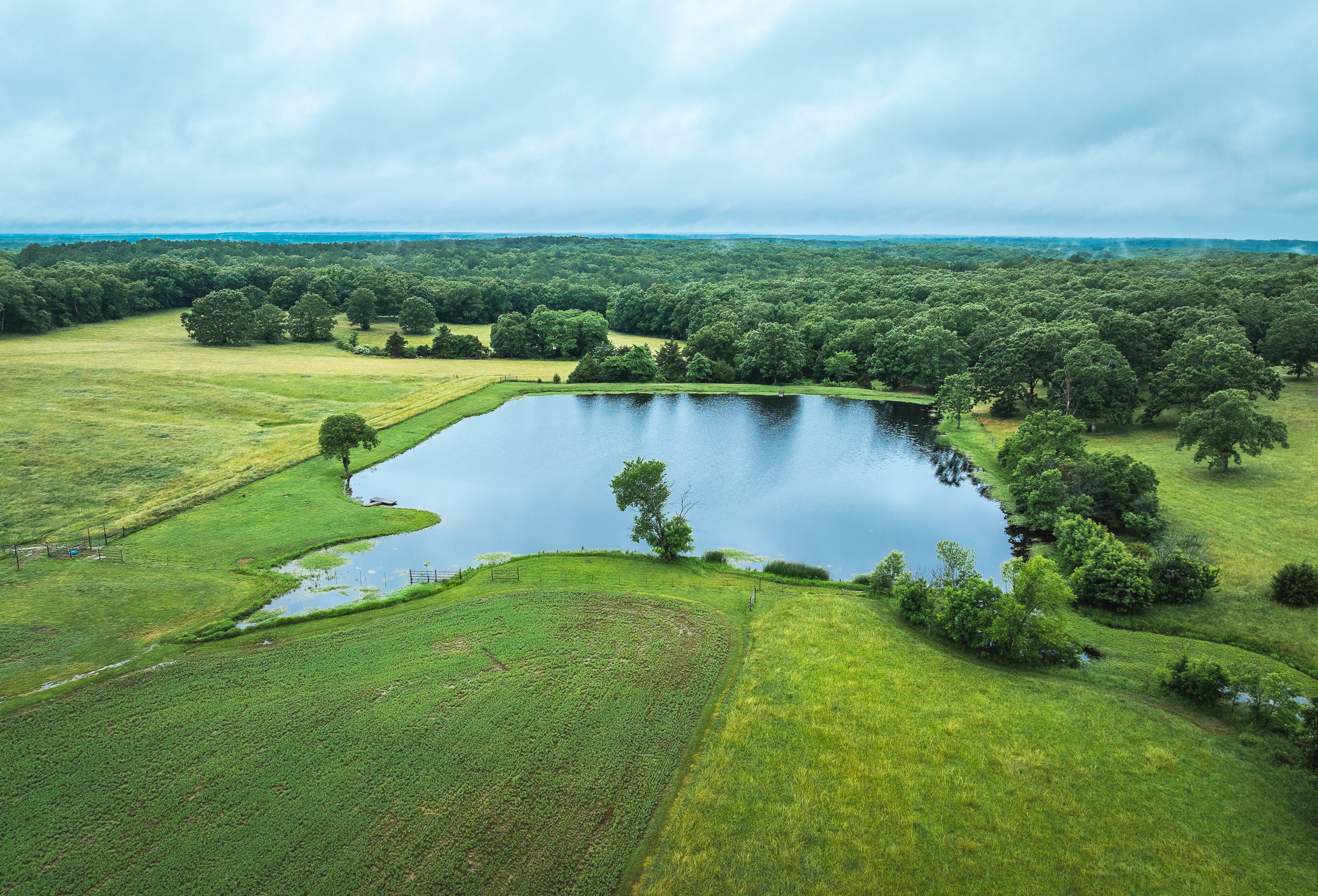 T-Cross Farm
