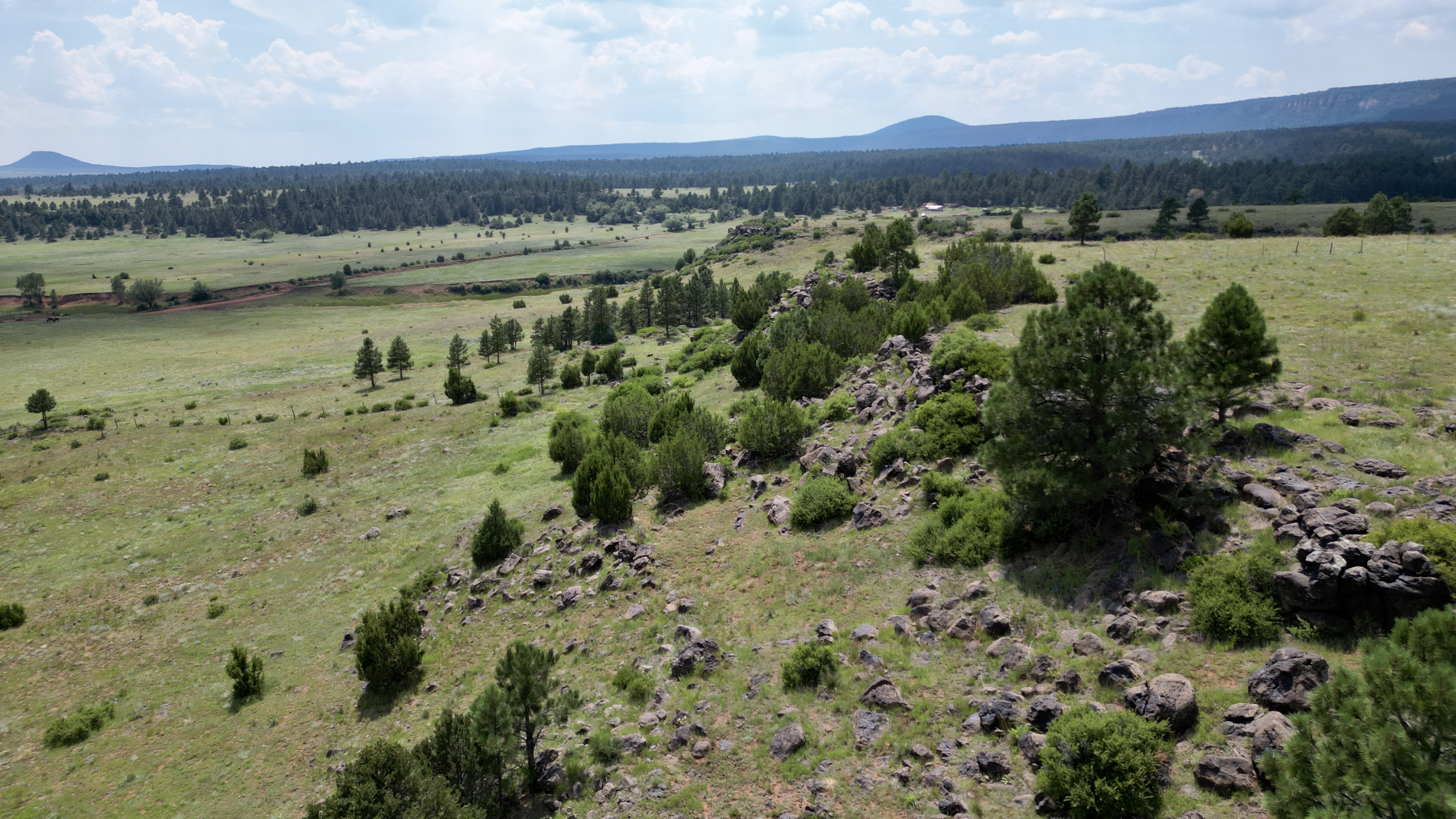 OLC Ranch