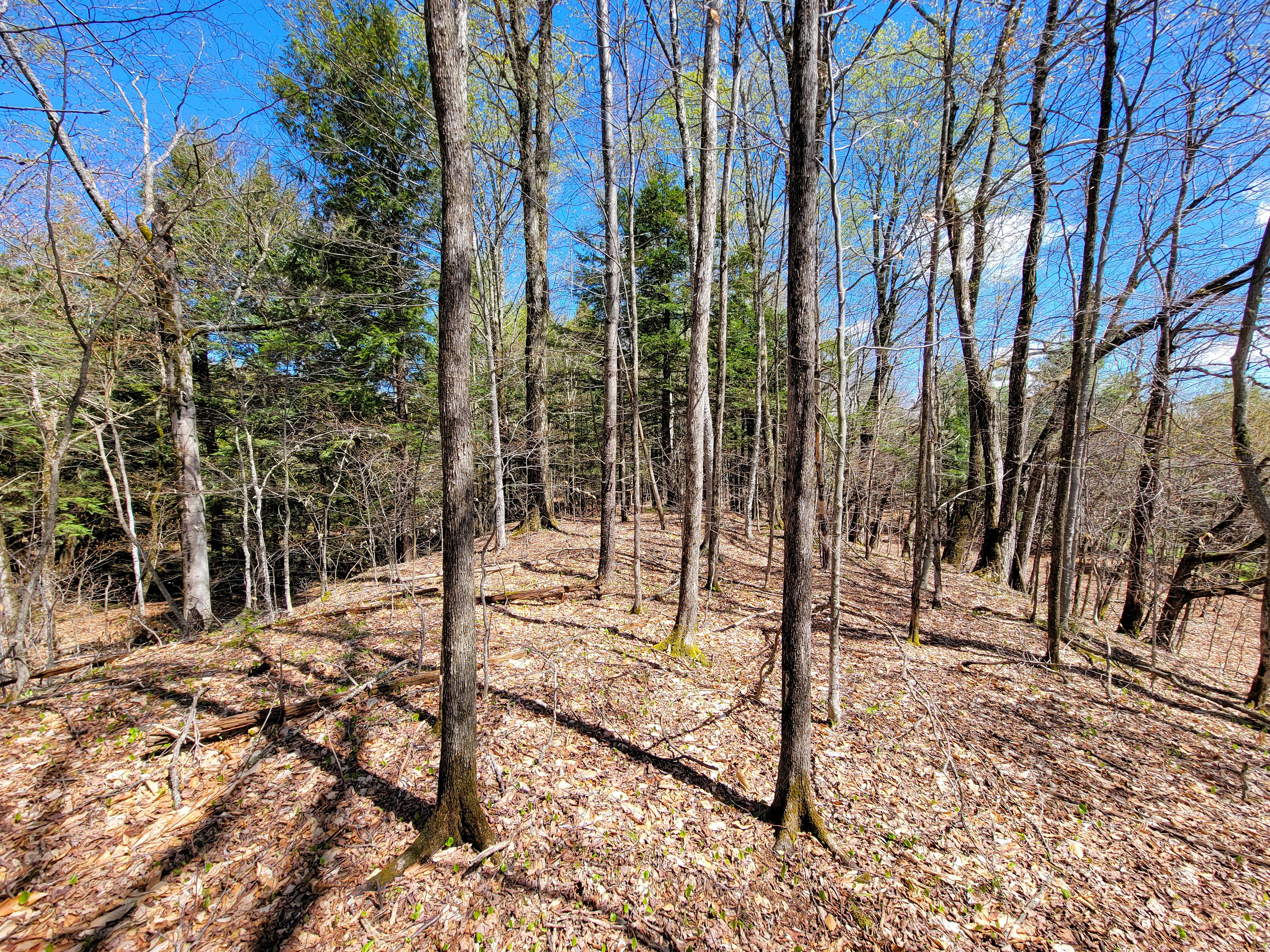 Listing Image 38