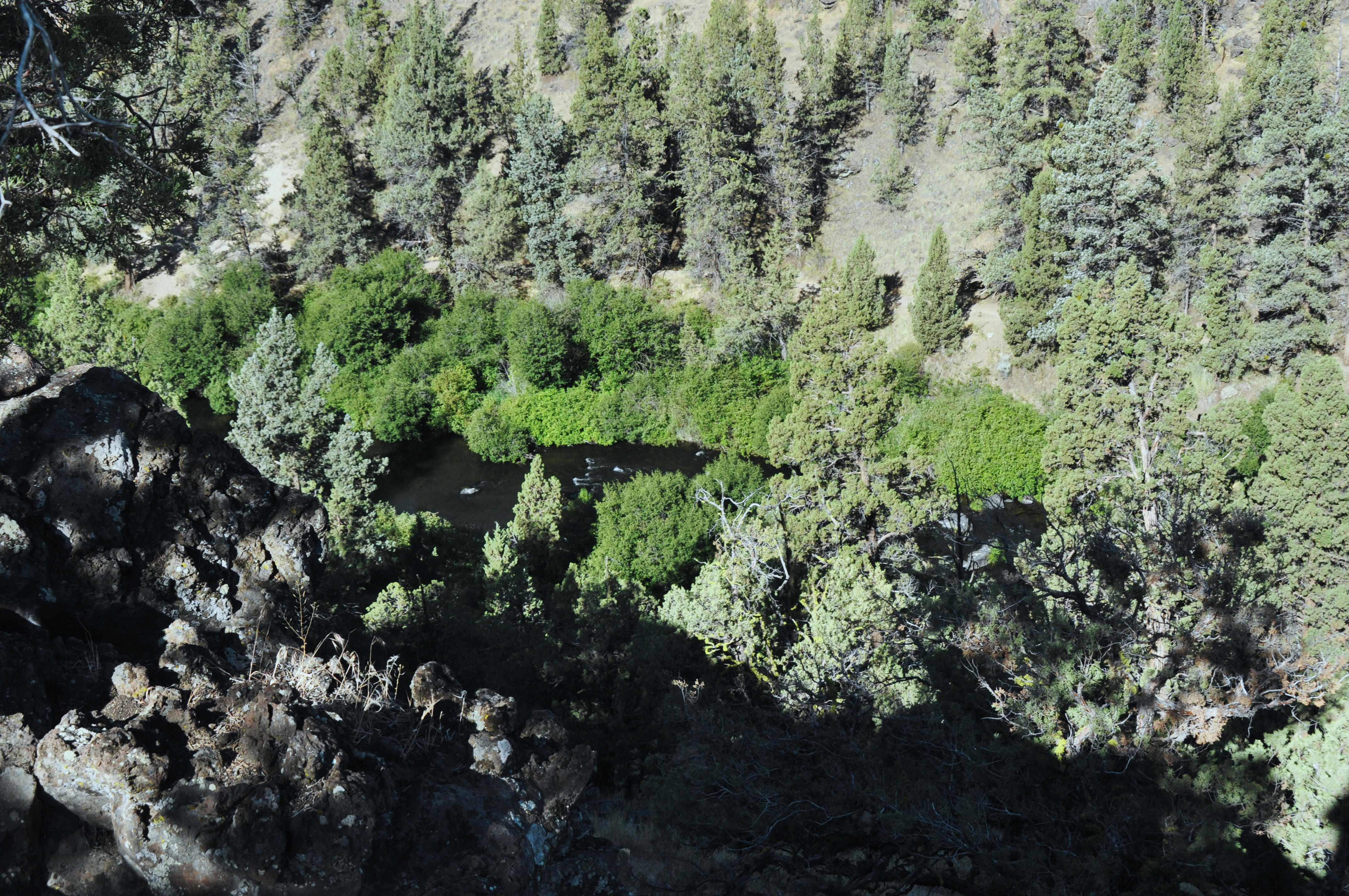 Listing Image 24