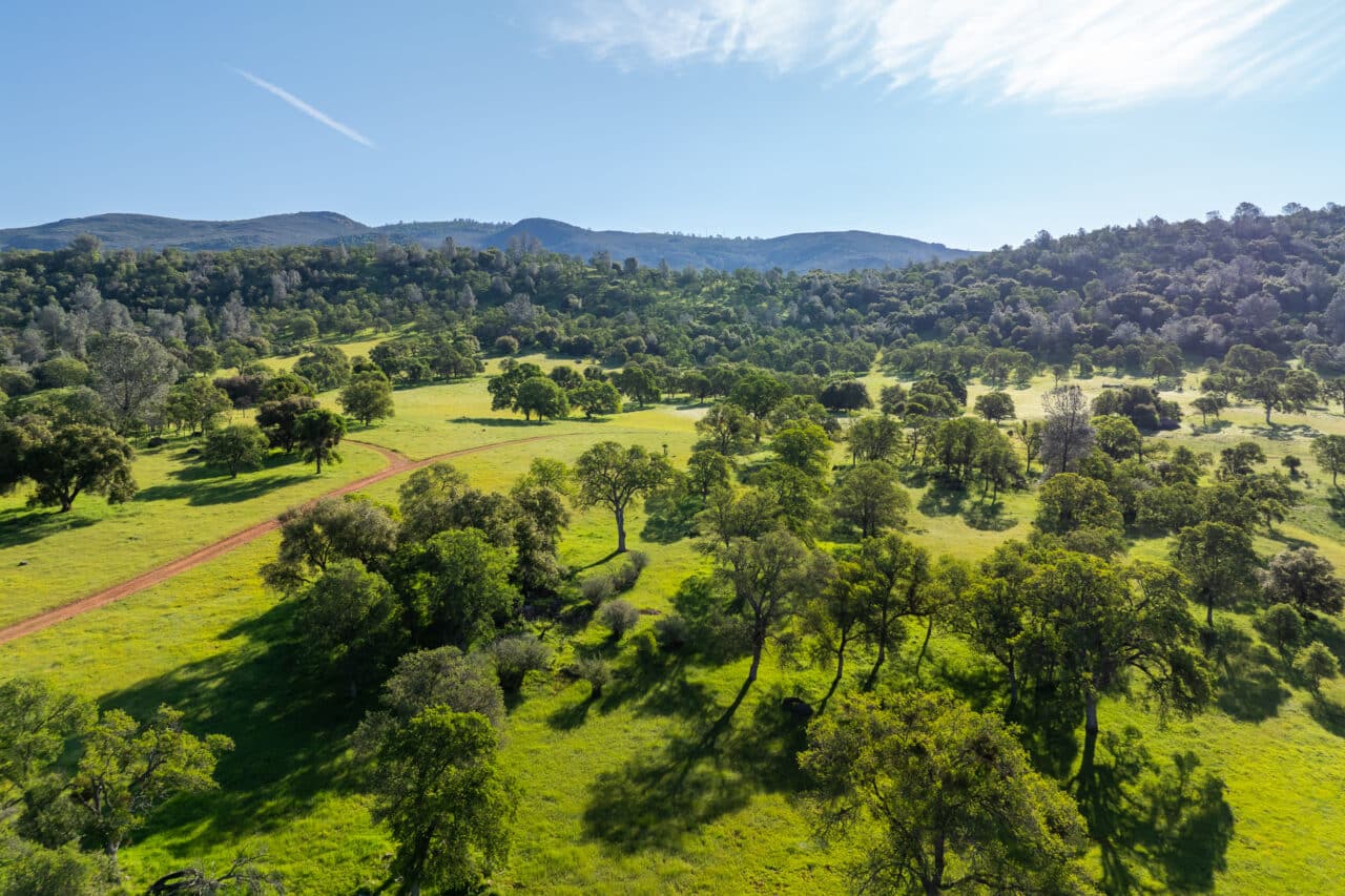 The Gann Ranch