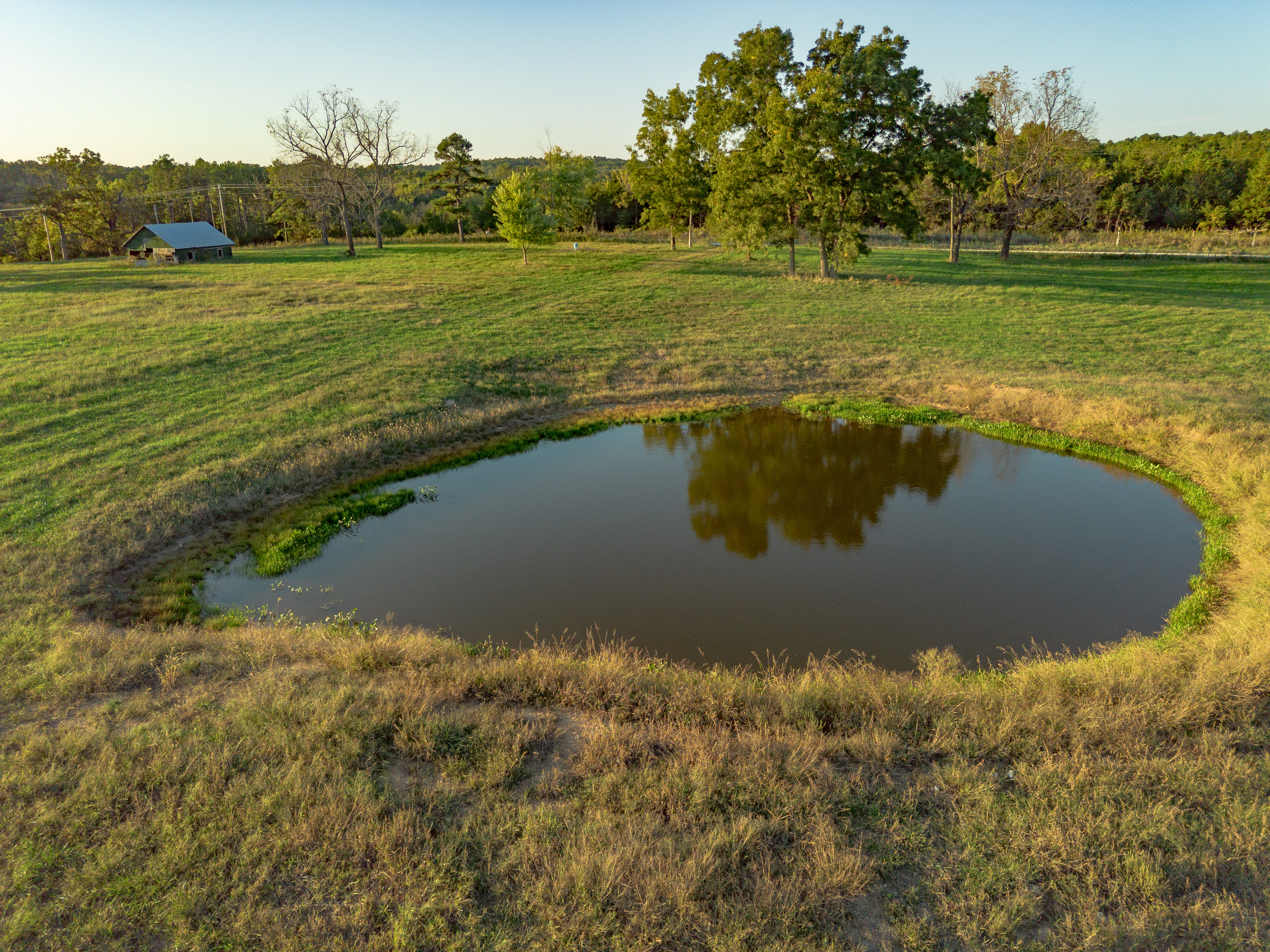 Listing Image 43