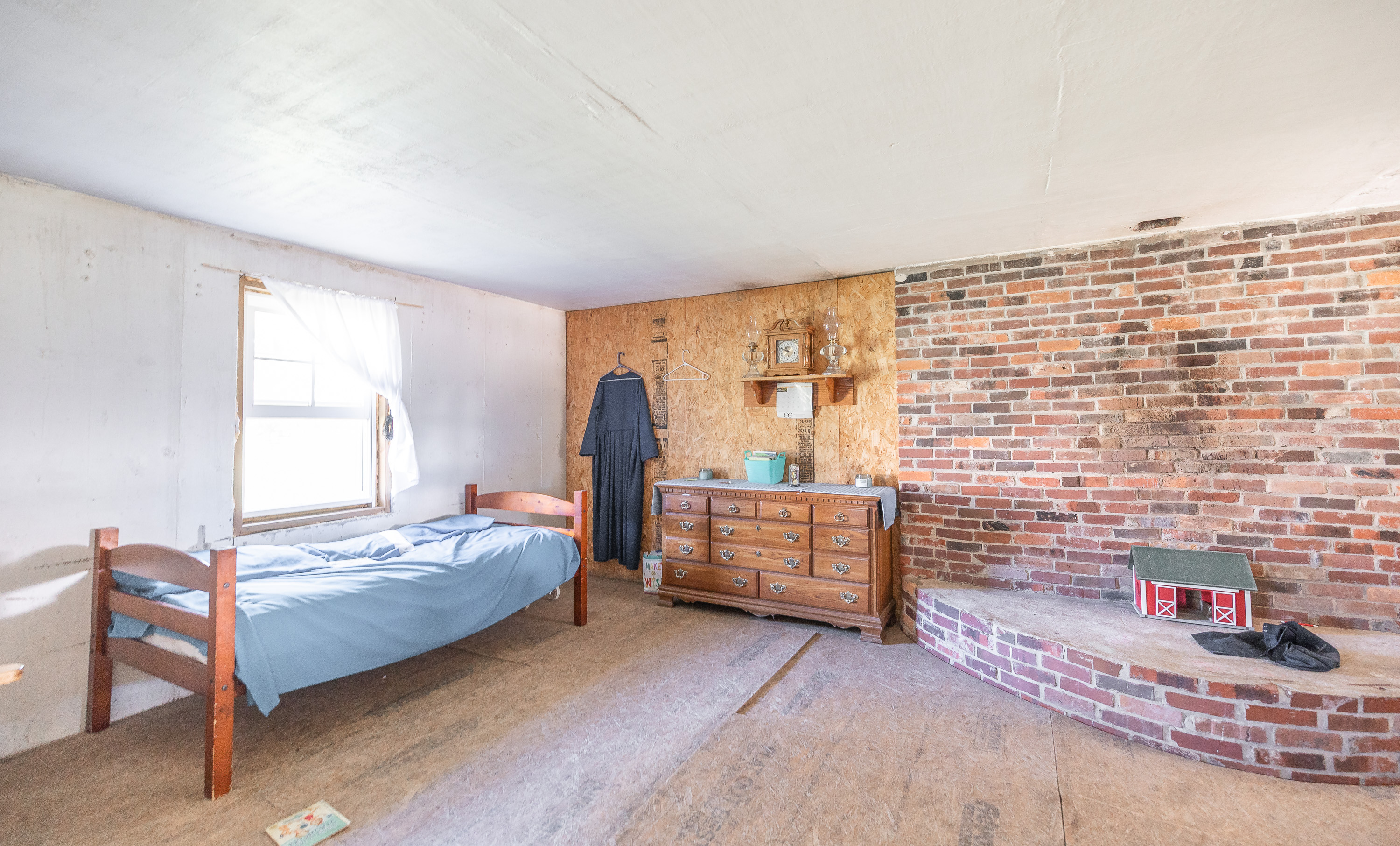 Cage Free Chicken Farm