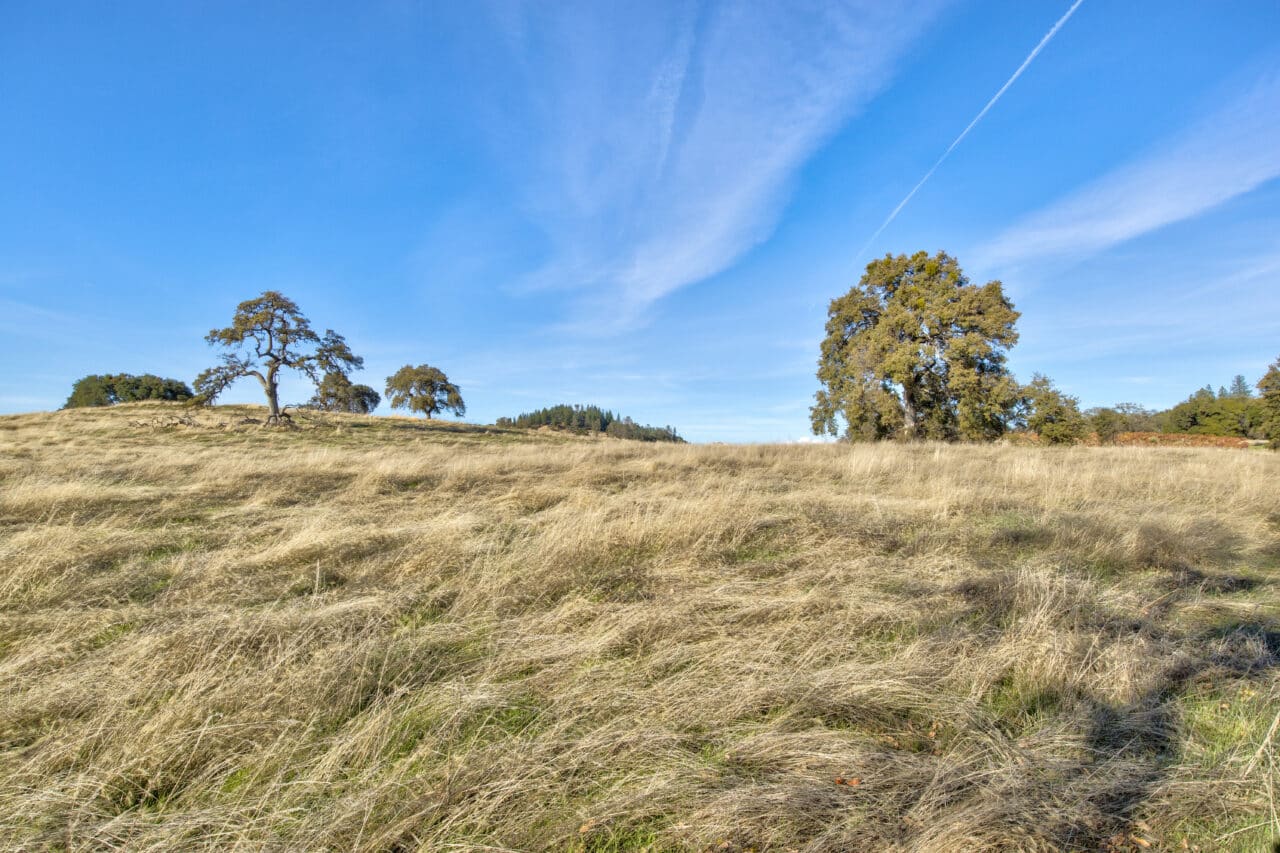 Shenandoah Ridge Ranchette