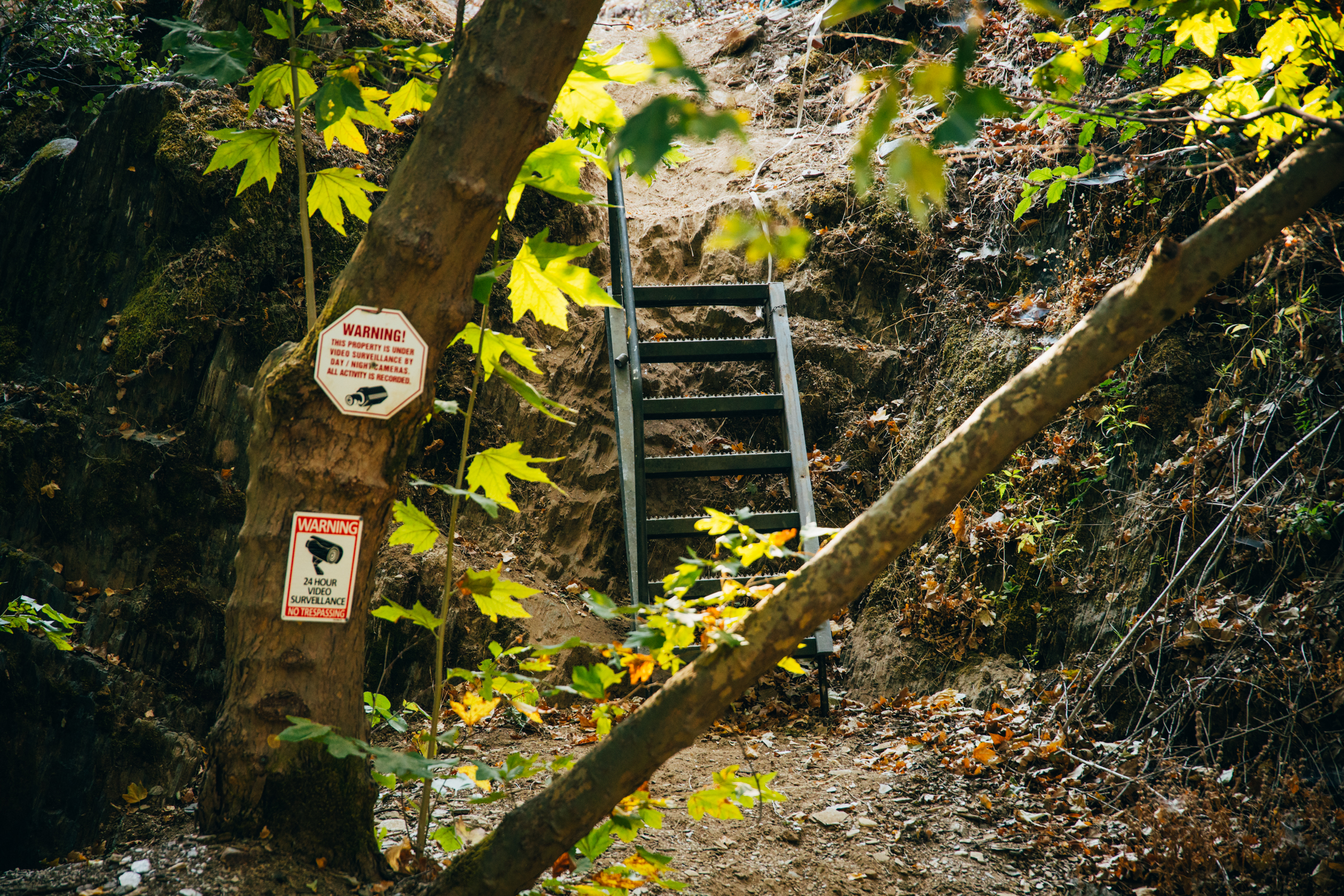 American River Camp Property