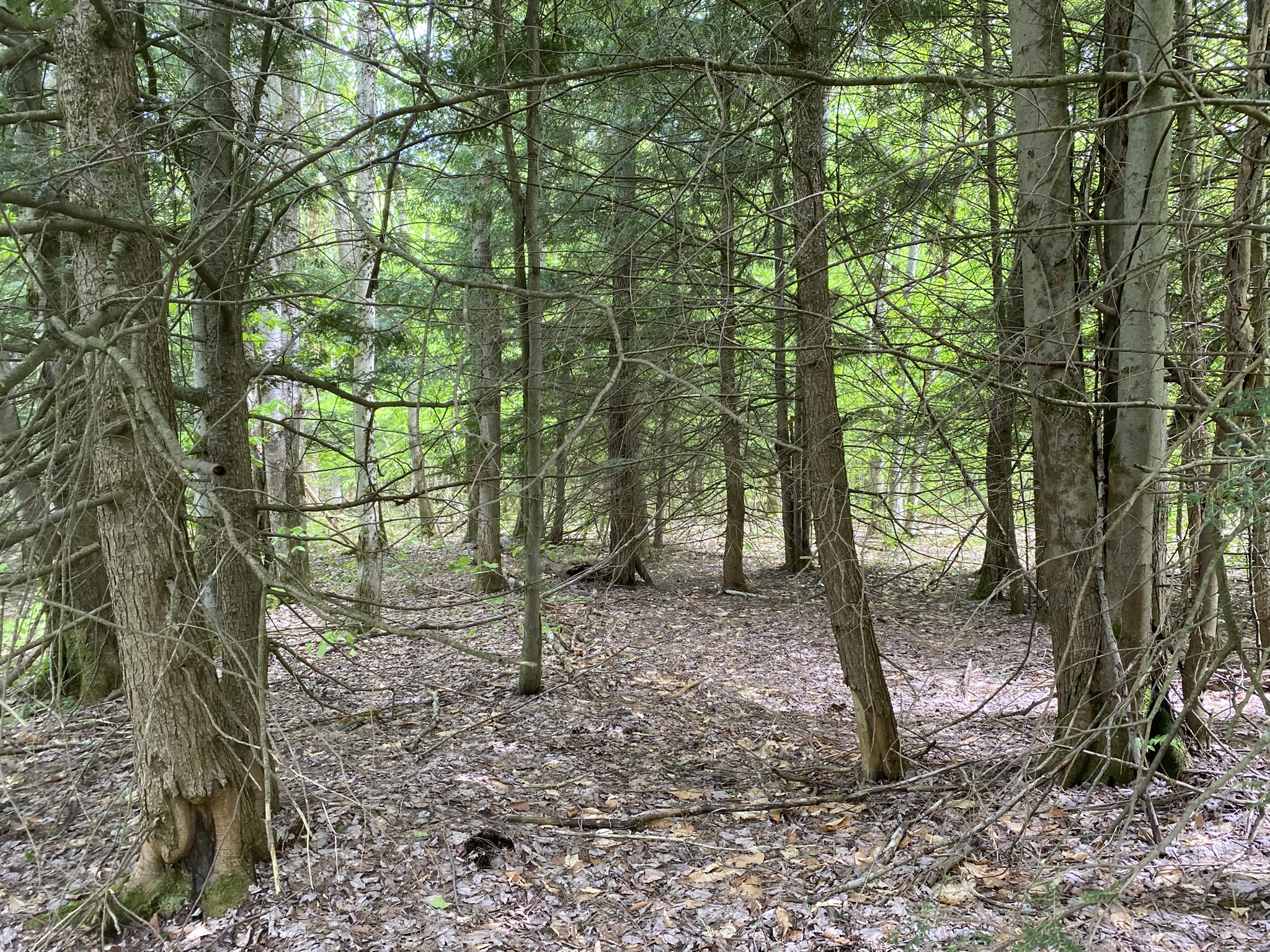 Listing Image 22
