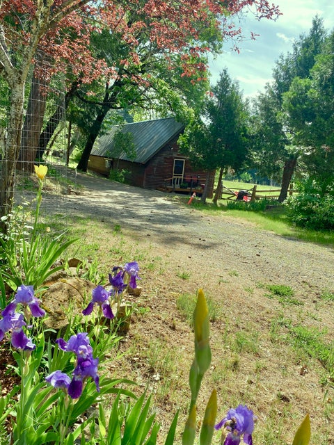 Listing Image 75