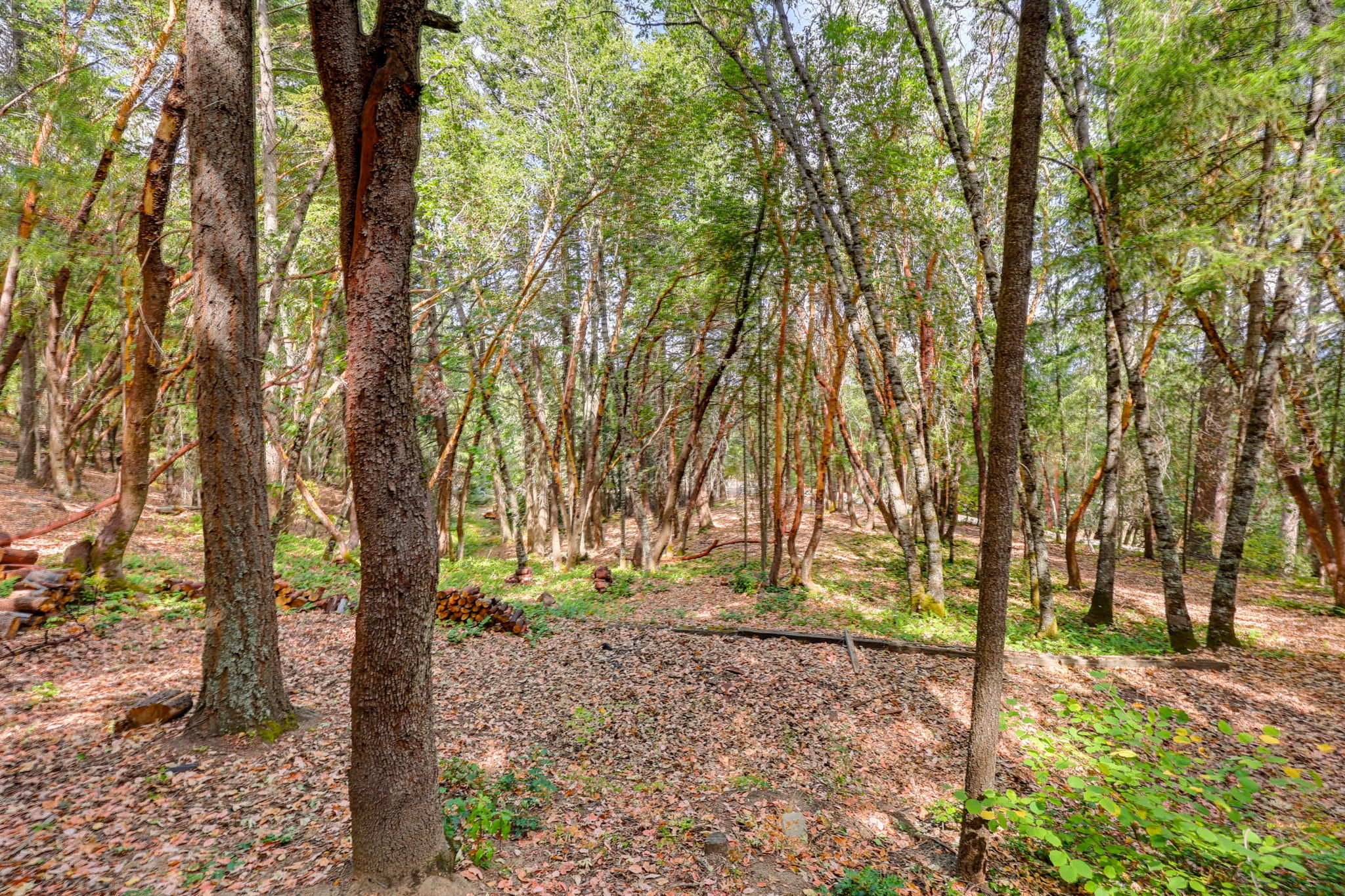 Listing Image 52