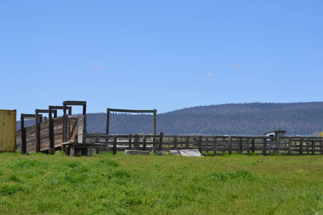 Pit River Cattle Ranch